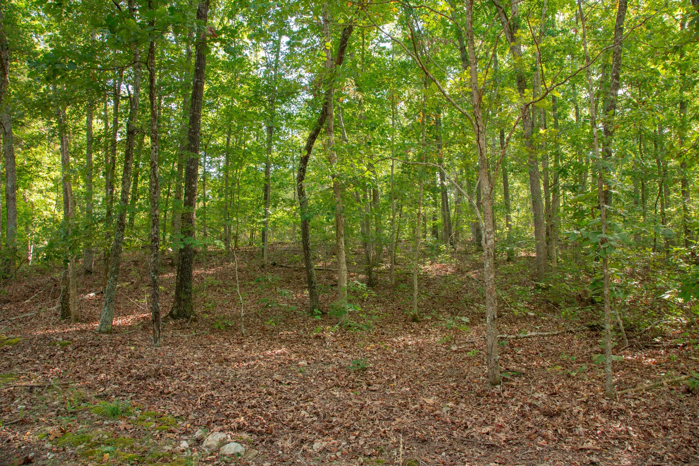 Wagon Wheel Ranch Tract 17 photo 10