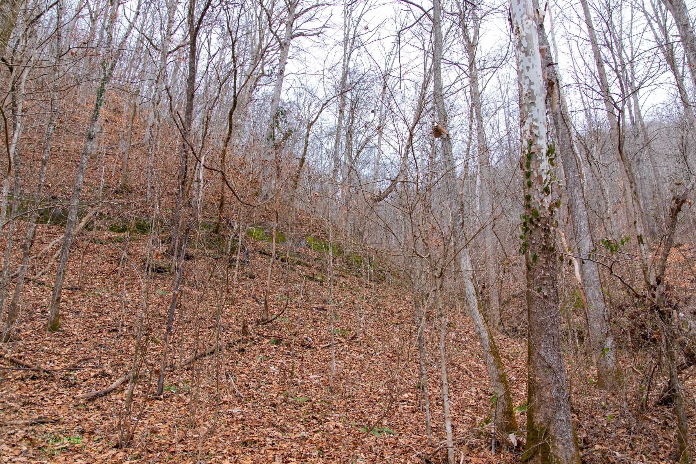 Blackstone Mountain Phase I Tract 39 photo 12
