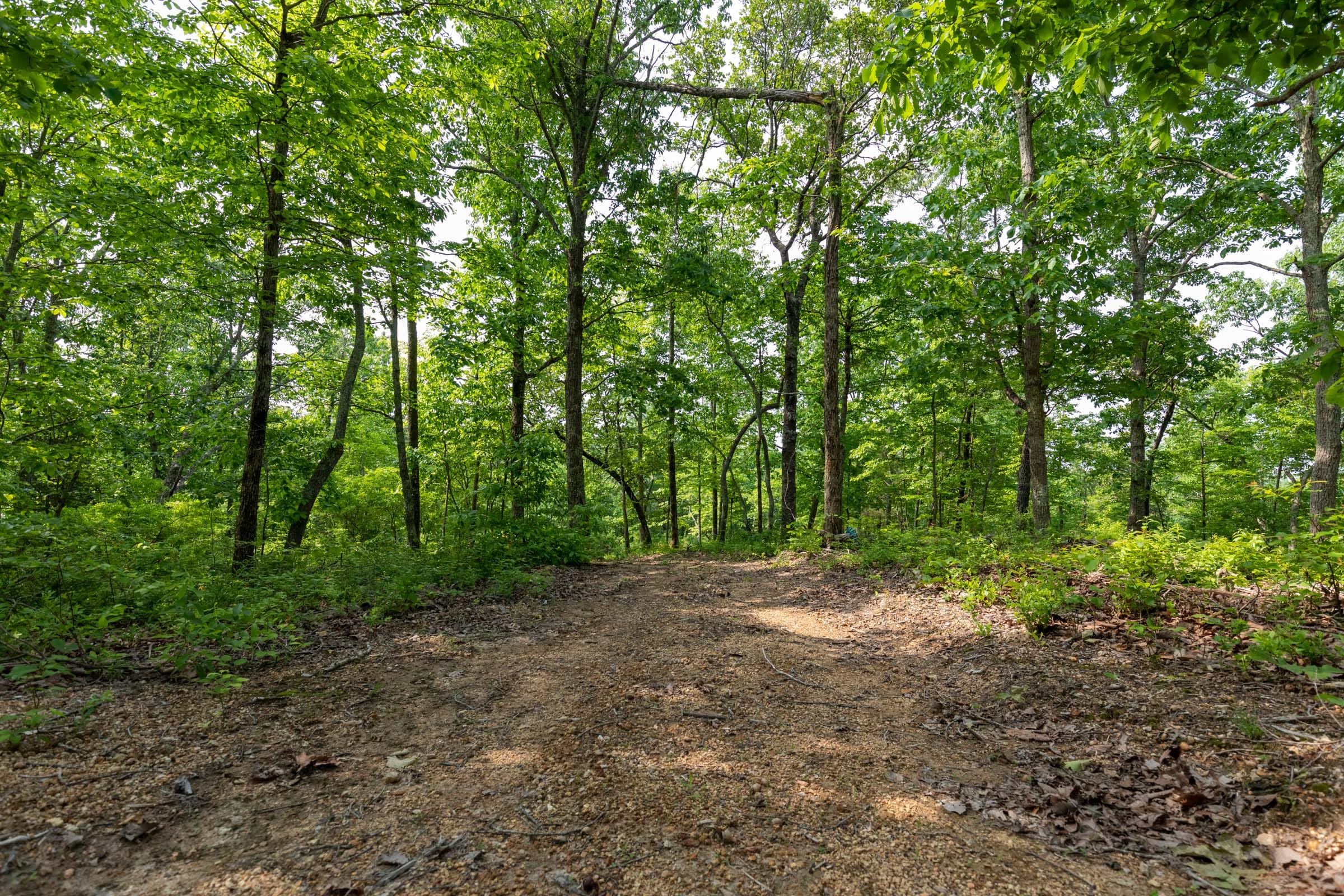 Cedar Creek Tract 2 photo 6