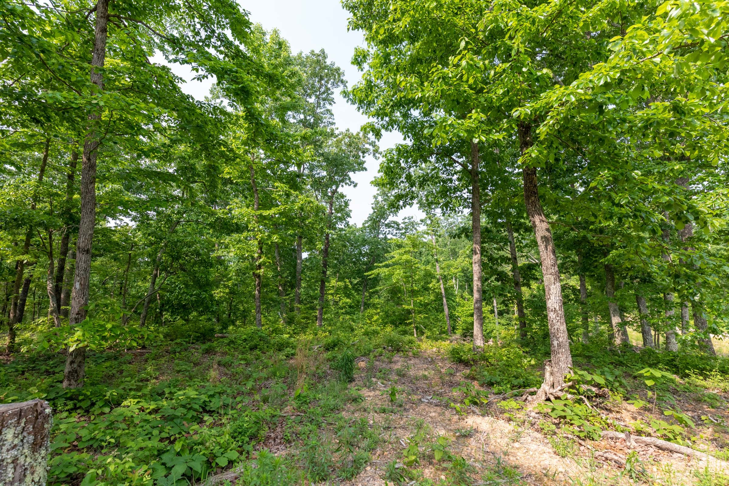 Cedar Creek Tract 2 photo 10