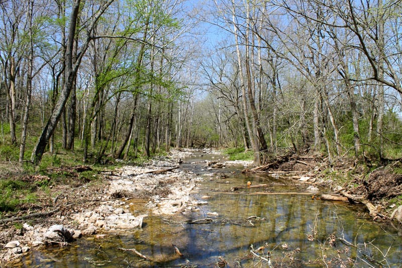 Cedar Ridge Ranch Tract 39 photo 2