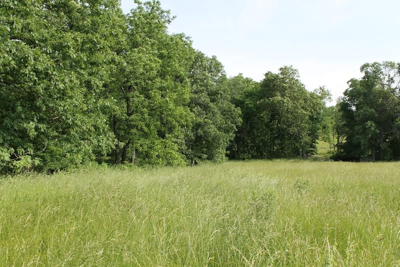 Cedar Ridge Ranch Tract 39 photo 6