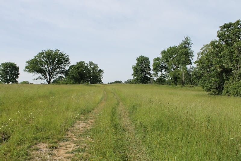 Cedar Ridge Ranch Tract 39 photo 1
