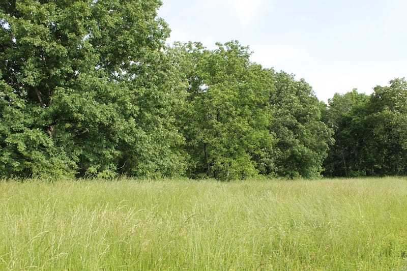Cedar Ridge Ranch Tract 39 photo 7