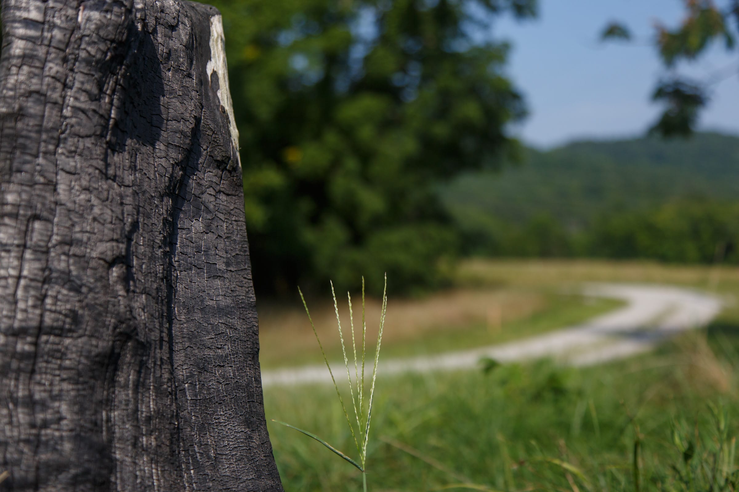 Rolling Hills Tract 18 photo 7