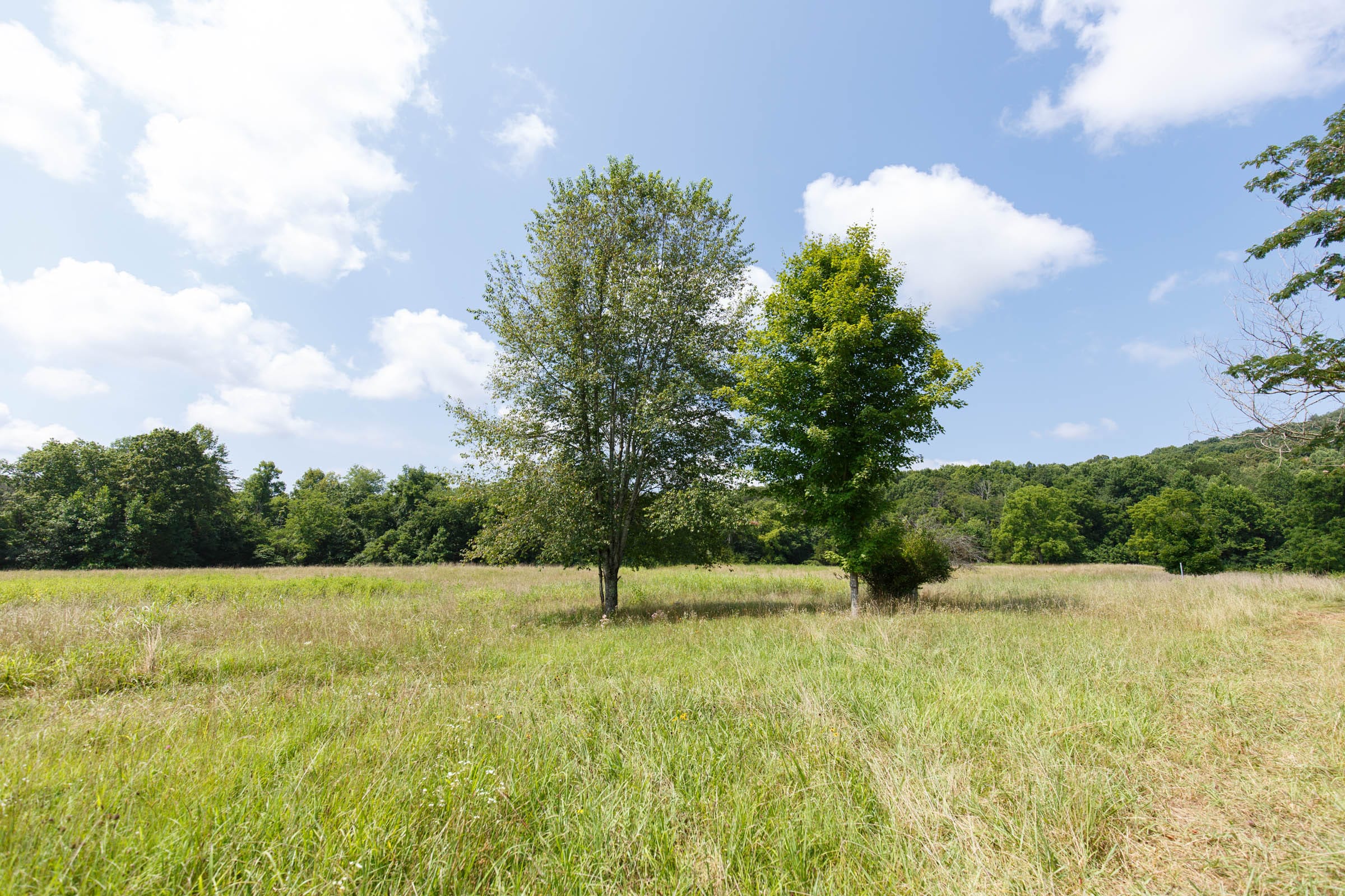 Rolling Hills Tract 18 photo 15