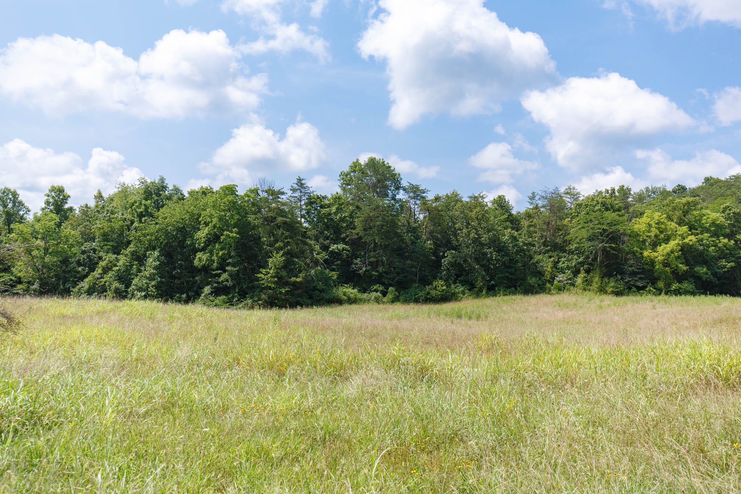 Rolling Hills Tract 18 photo 13