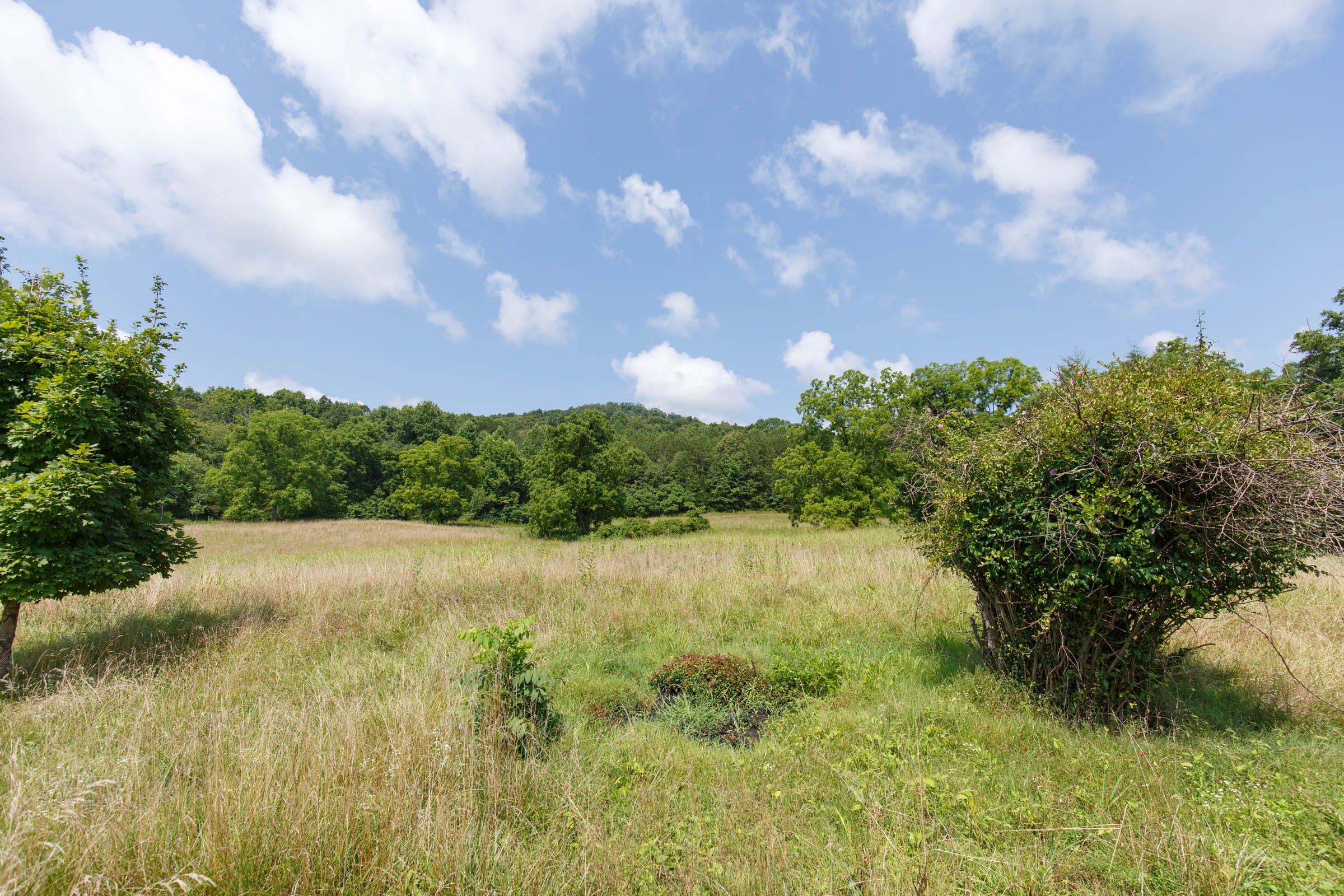Rolling Hills Tract 18 photo 16