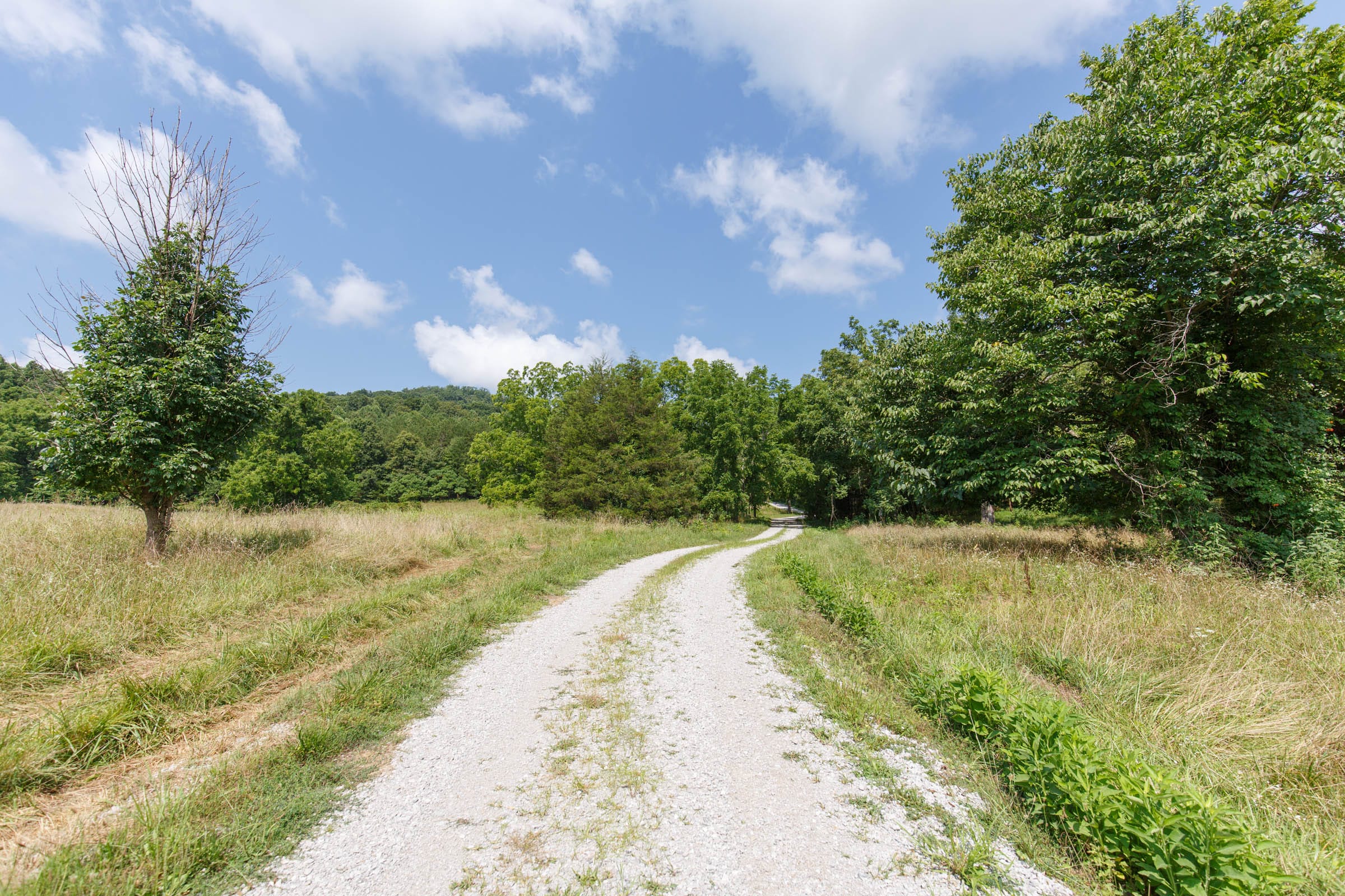 Rolling Hills Tract 18 photo 9