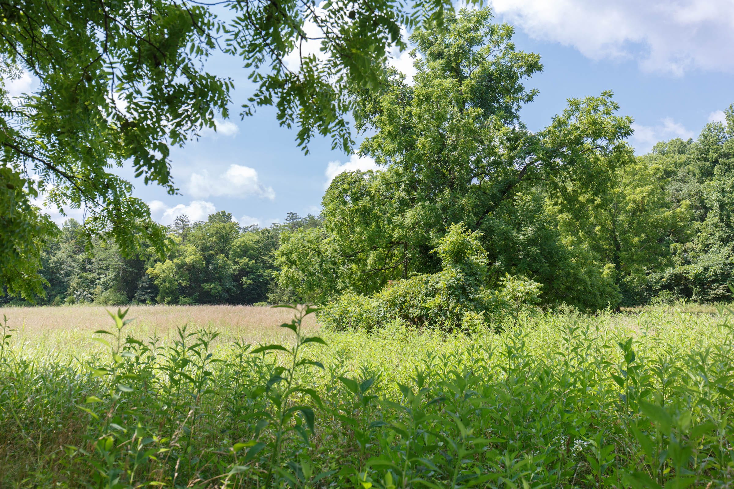 Rolling Hills Tract 18 photo 18