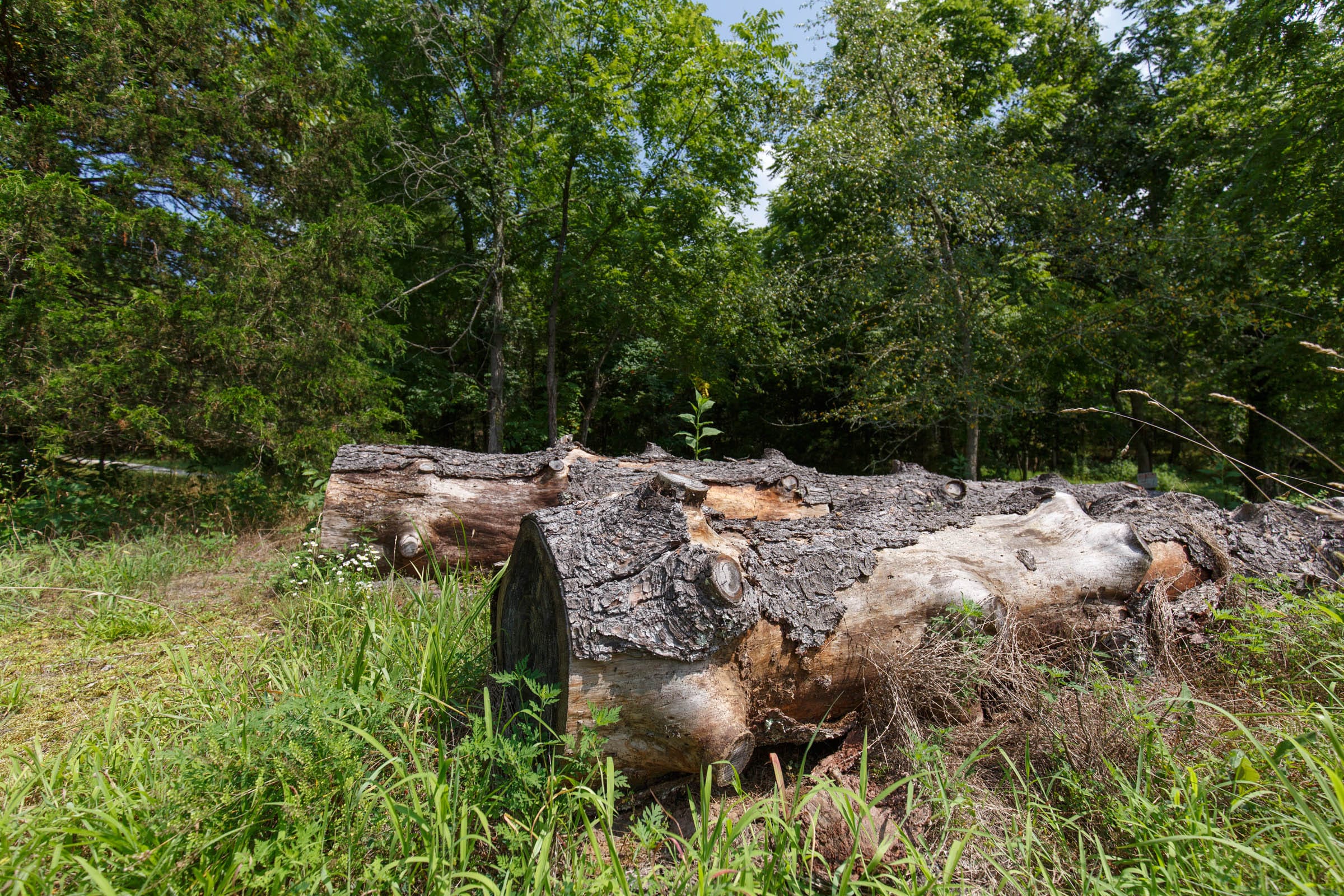 Rolling Hills Tract 18 photo 20