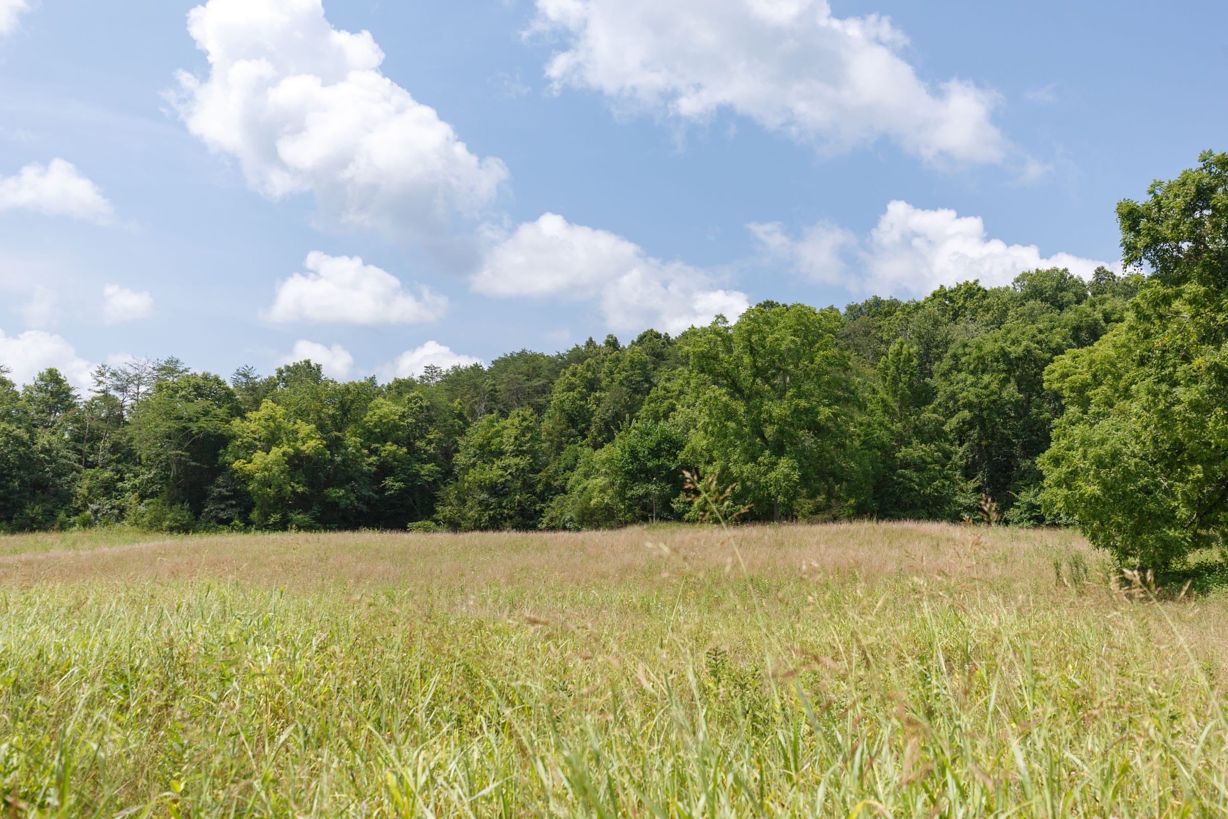 Rolling Hills Tract 18 photo 19
