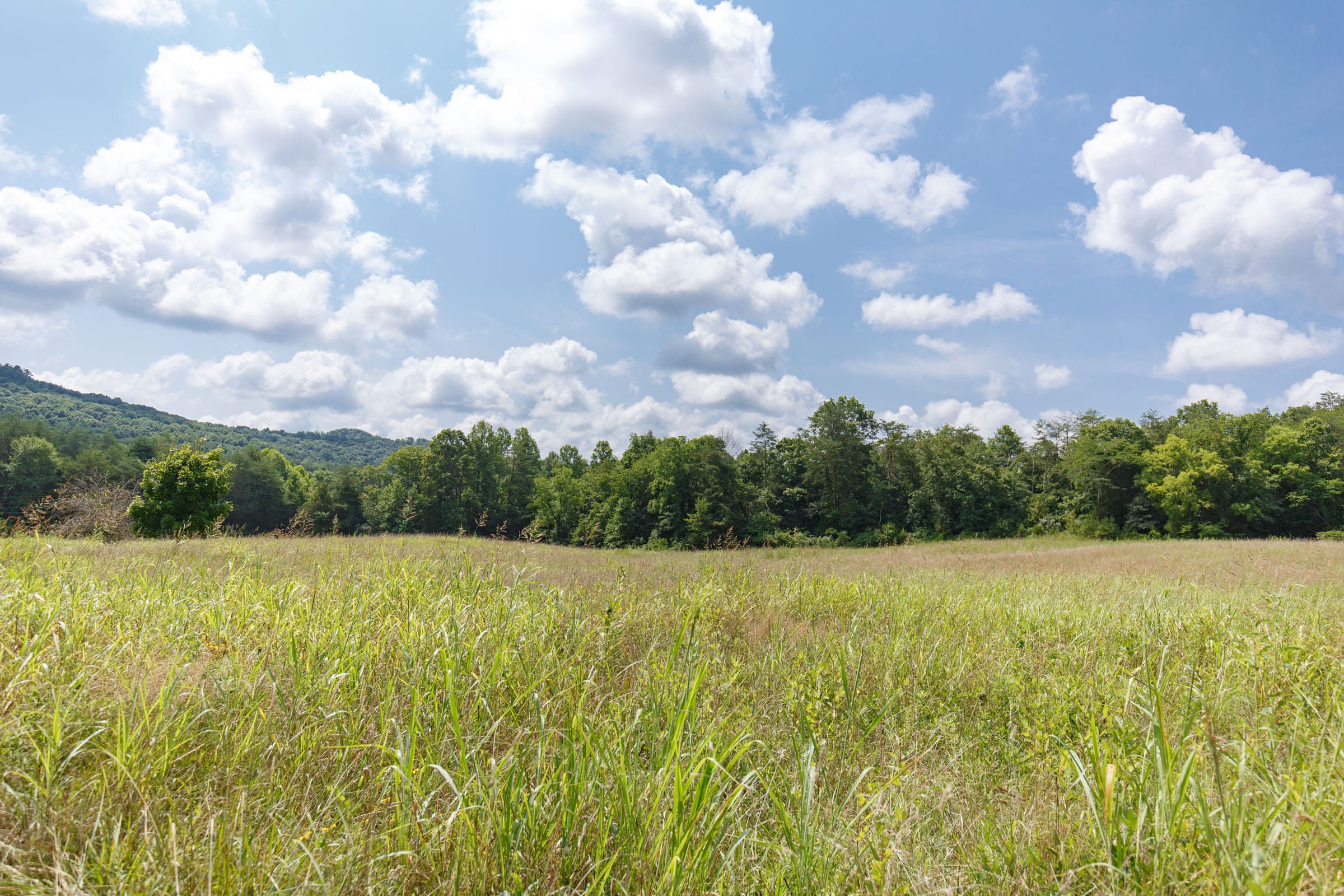 Rolling Hills Tract 18 photo 21