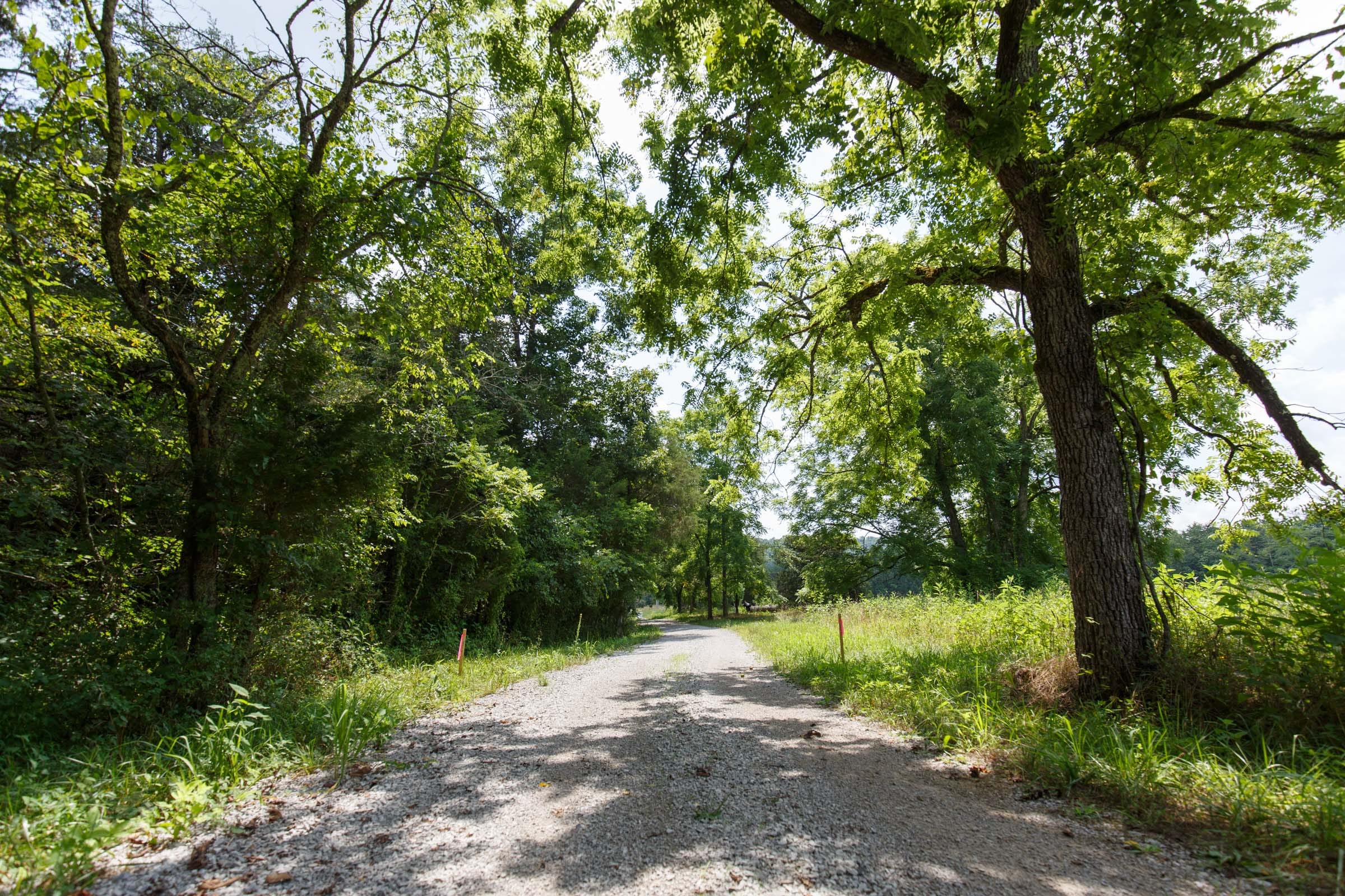 Rolling Hills Tract 18 photo 17