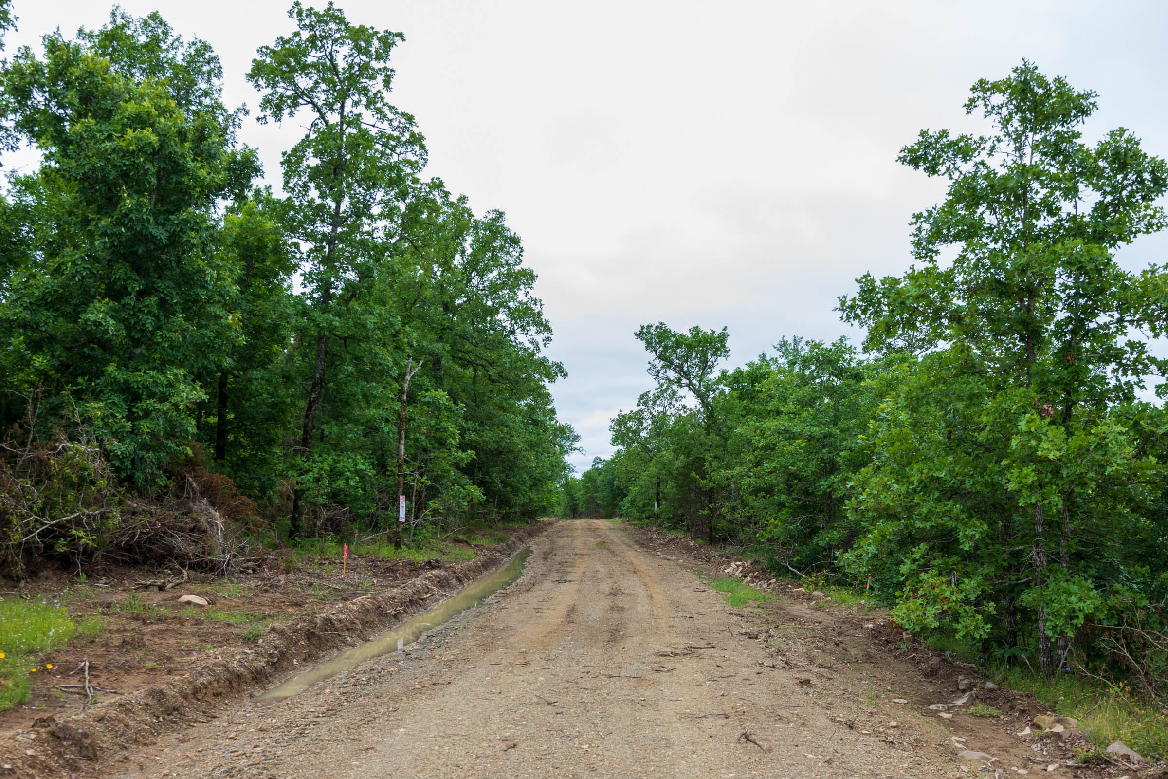 Falcon Crest Tract 6 photo 1
