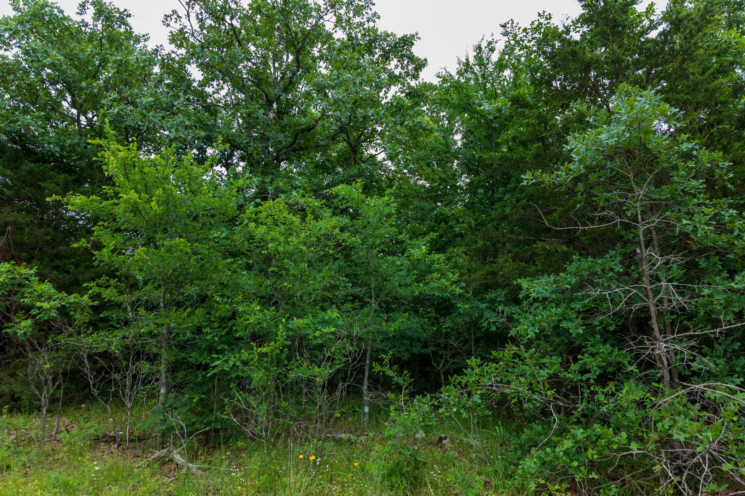 Falcon Crest Tract 6 photo 9