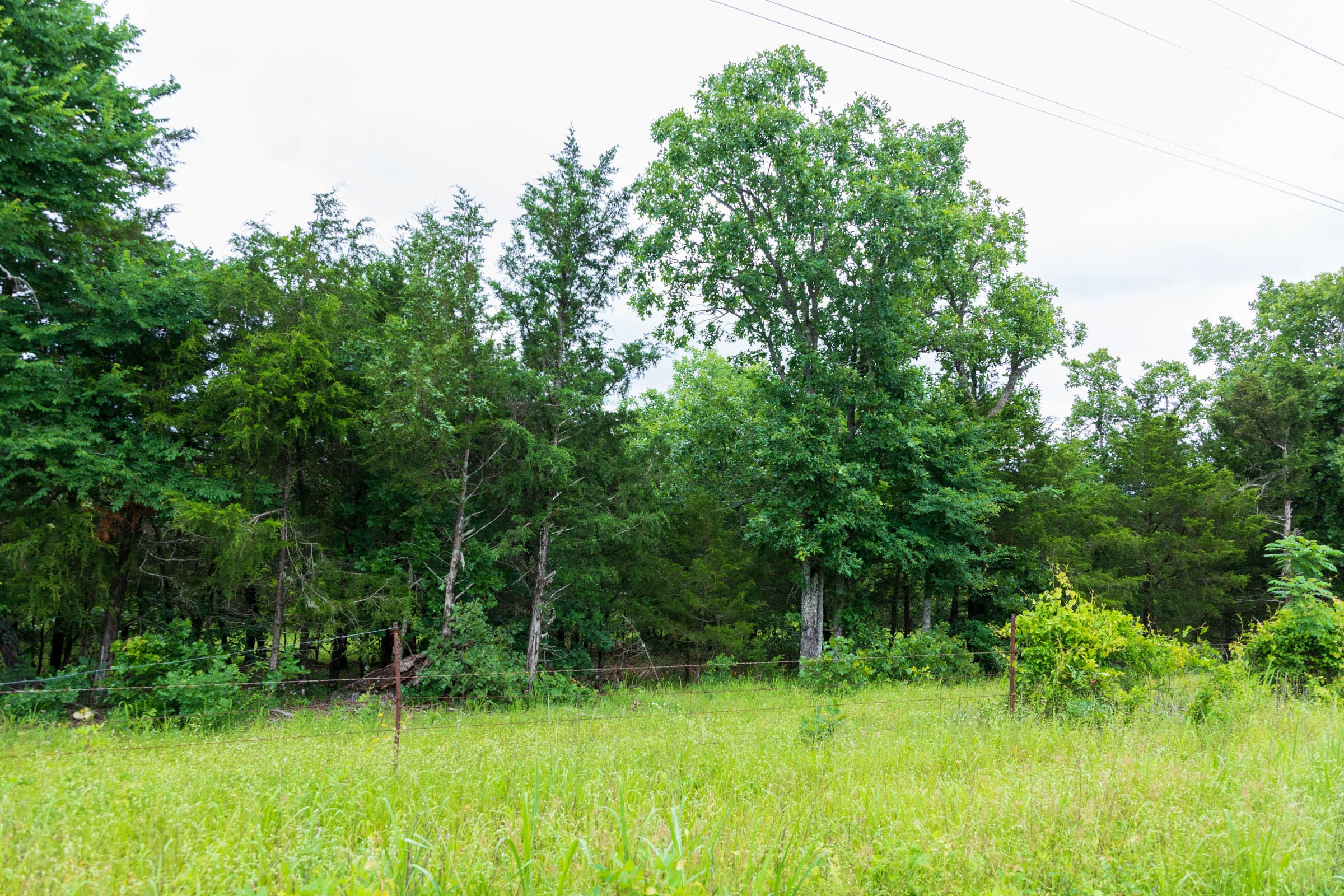 Falcon Crest Tract 6 photo 11