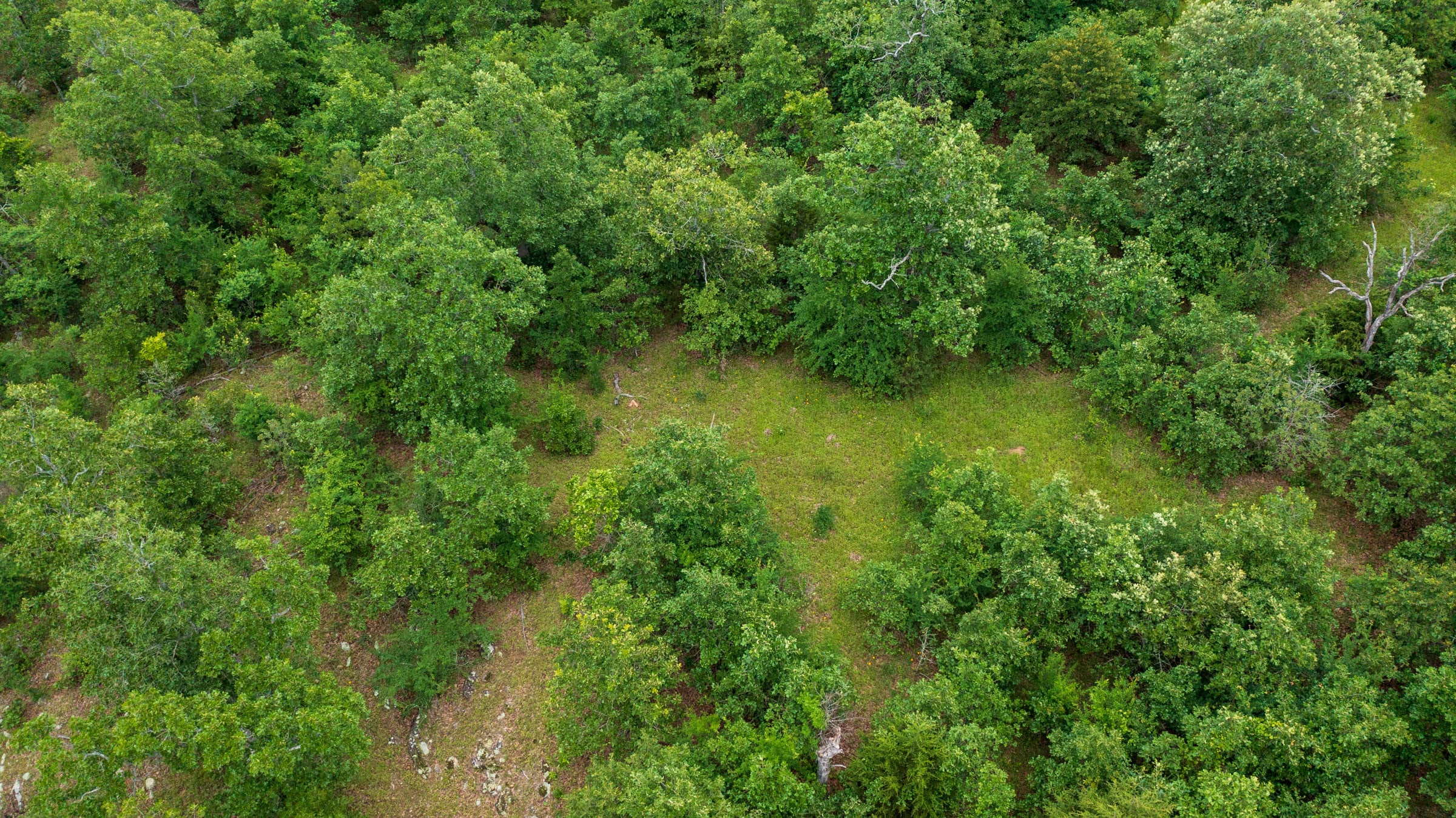 Falcon Crest Tract 6 photo 13
