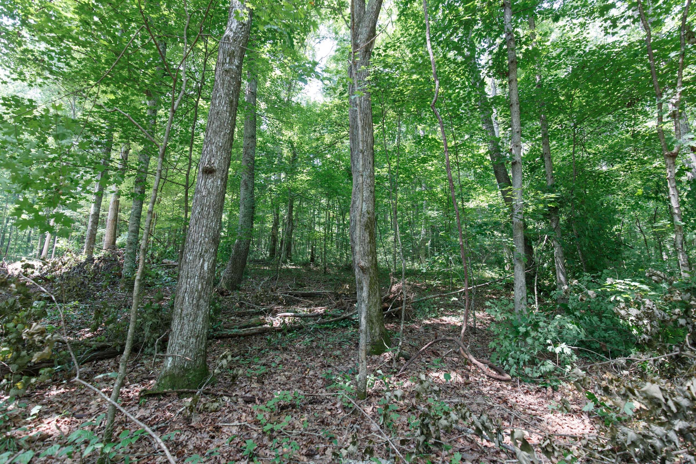 Rolling Hills Tract 9 photo 3