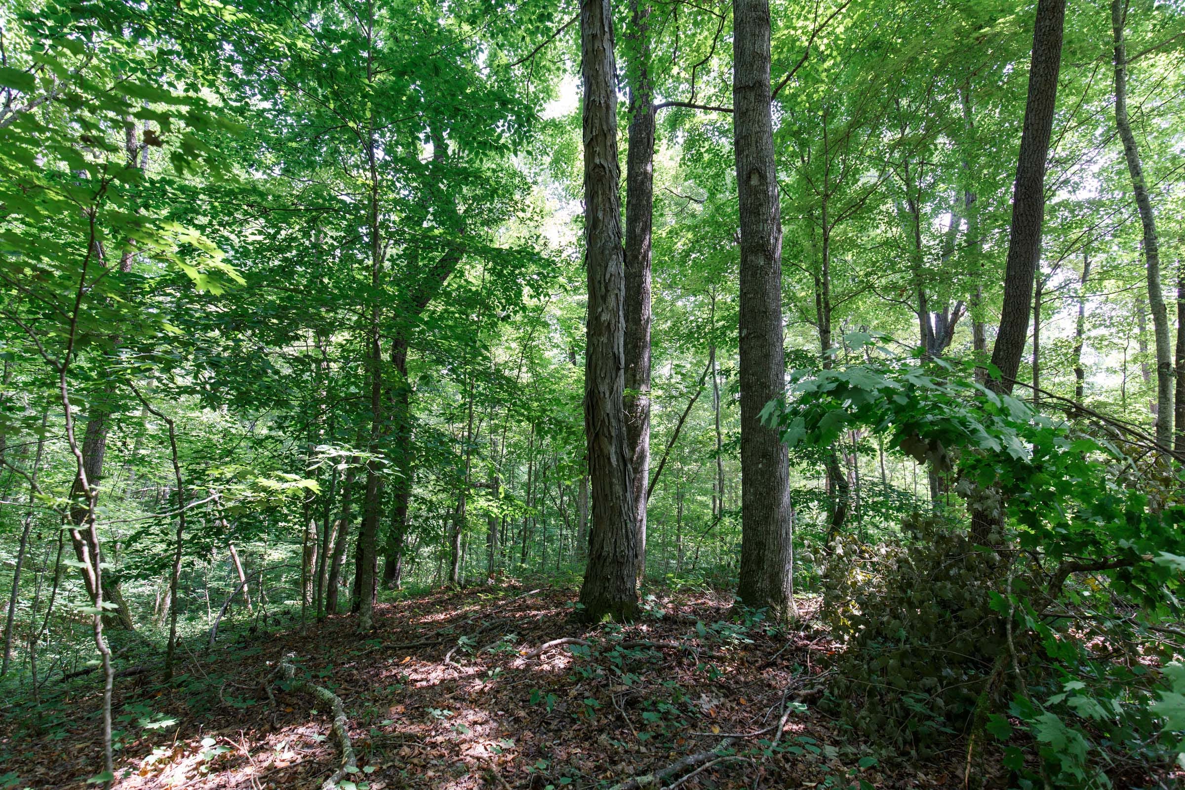 Rolling Hills Tract 9 photo 9