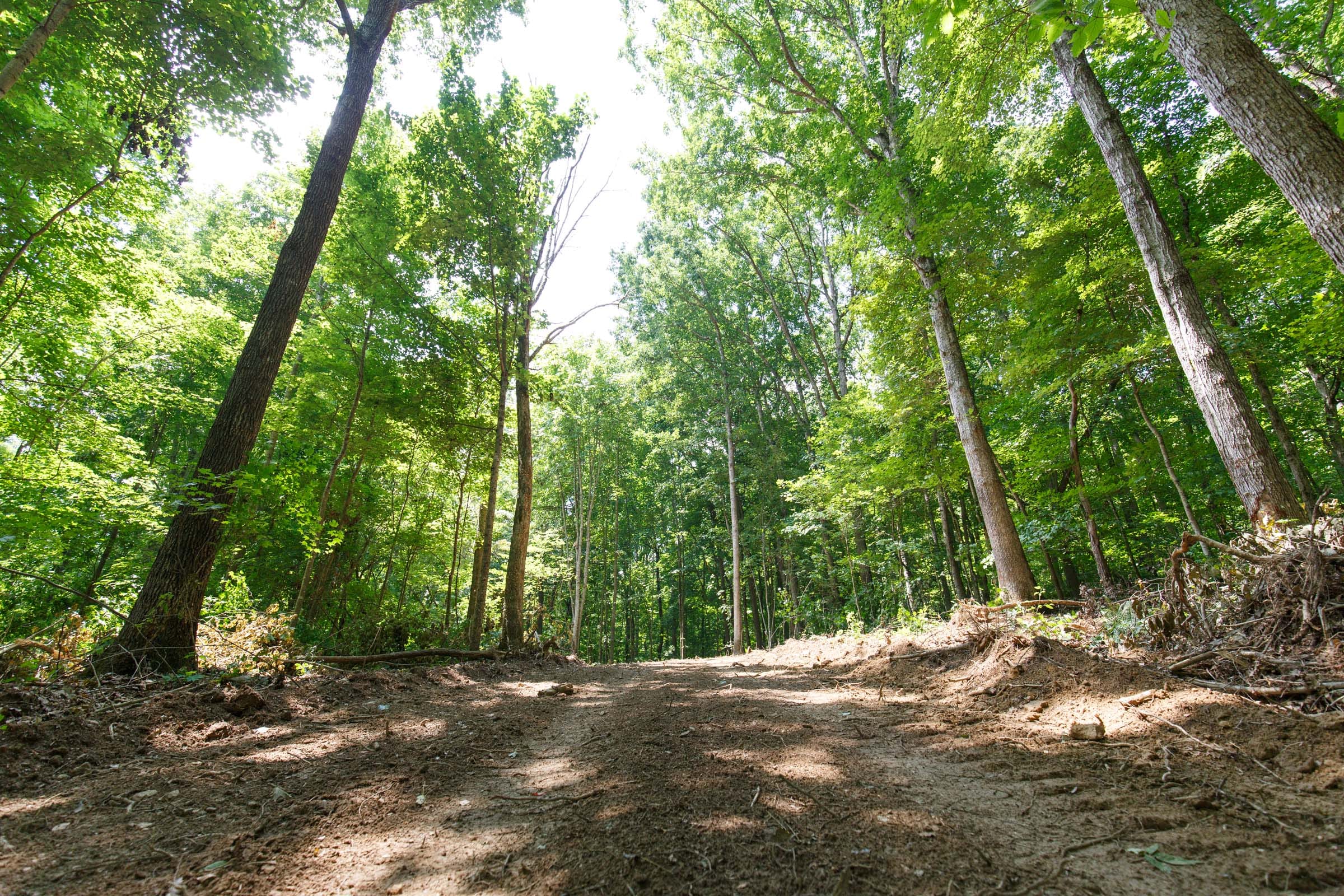 Rolling Hills Tract 9 photo 6