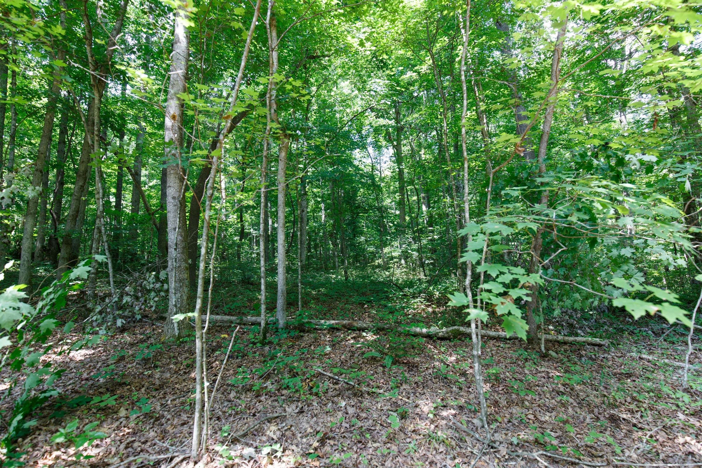 Rolling Hills Tract 9 photo 11