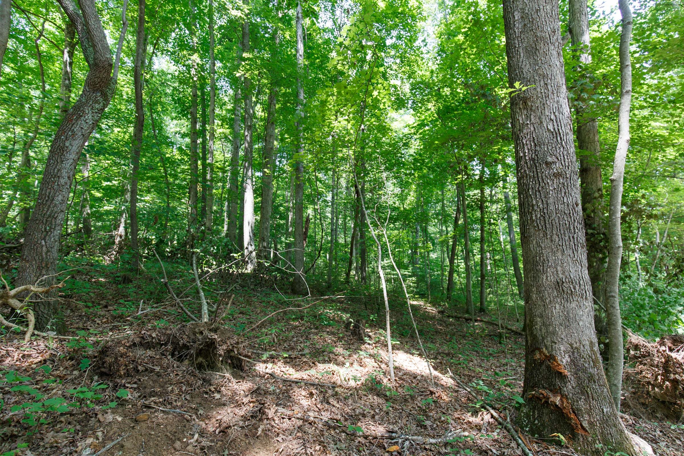 Rolling Hills Tract 9 photo 13