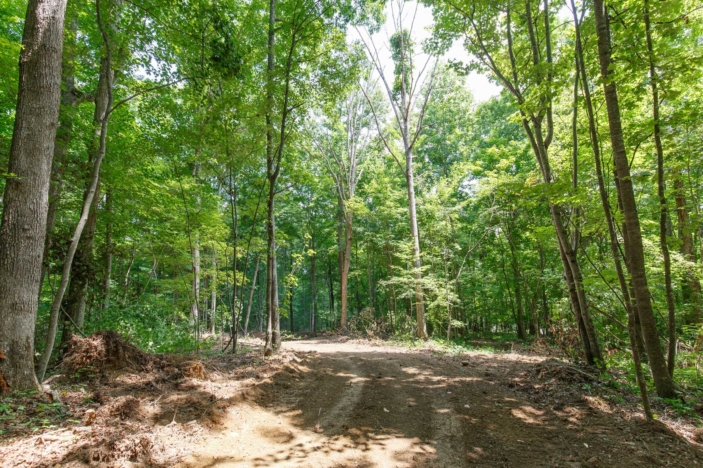 Rolling Hills Tract 9 photo 12