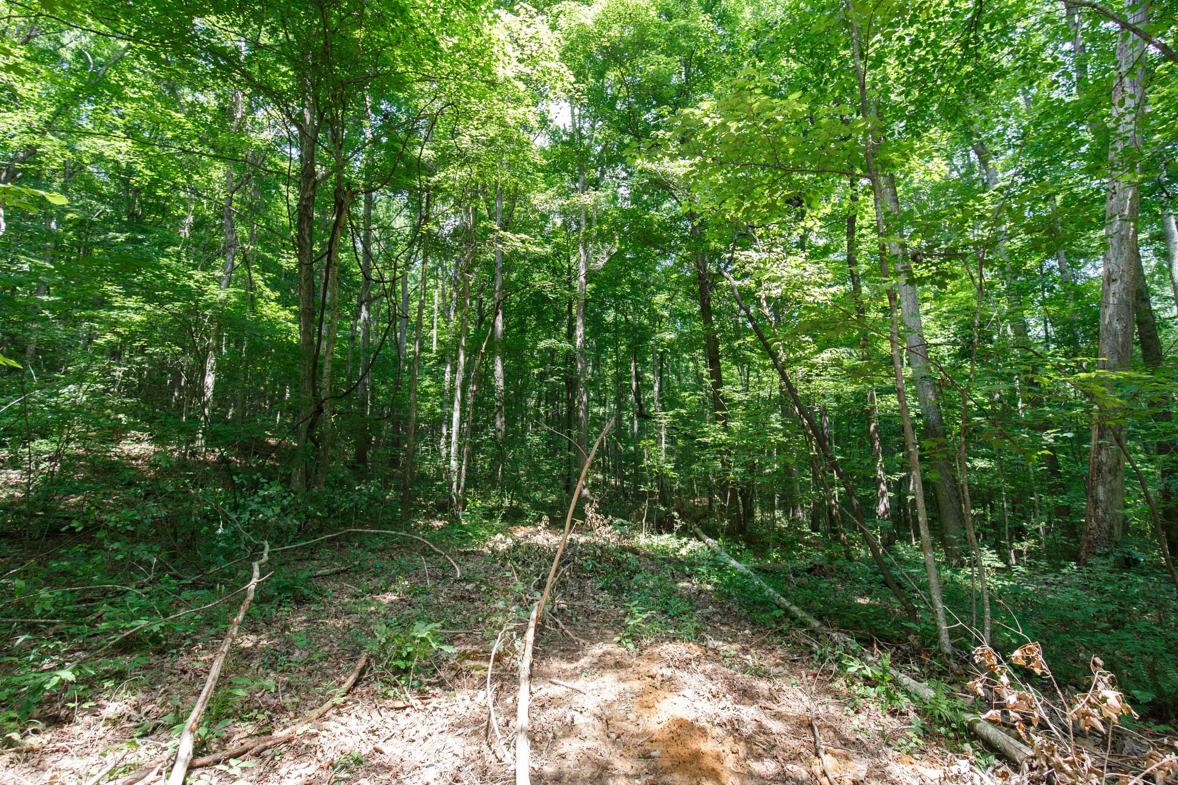 Rolling Hills Tract 9 photo 14