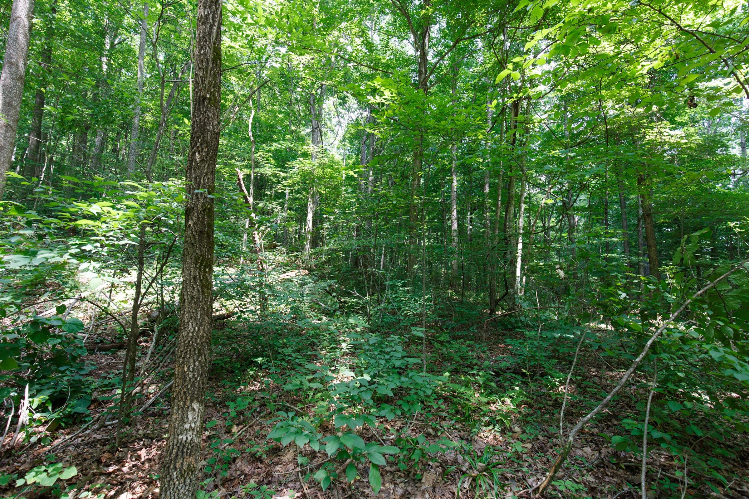 Rolling Hills Tract 9 photo 15