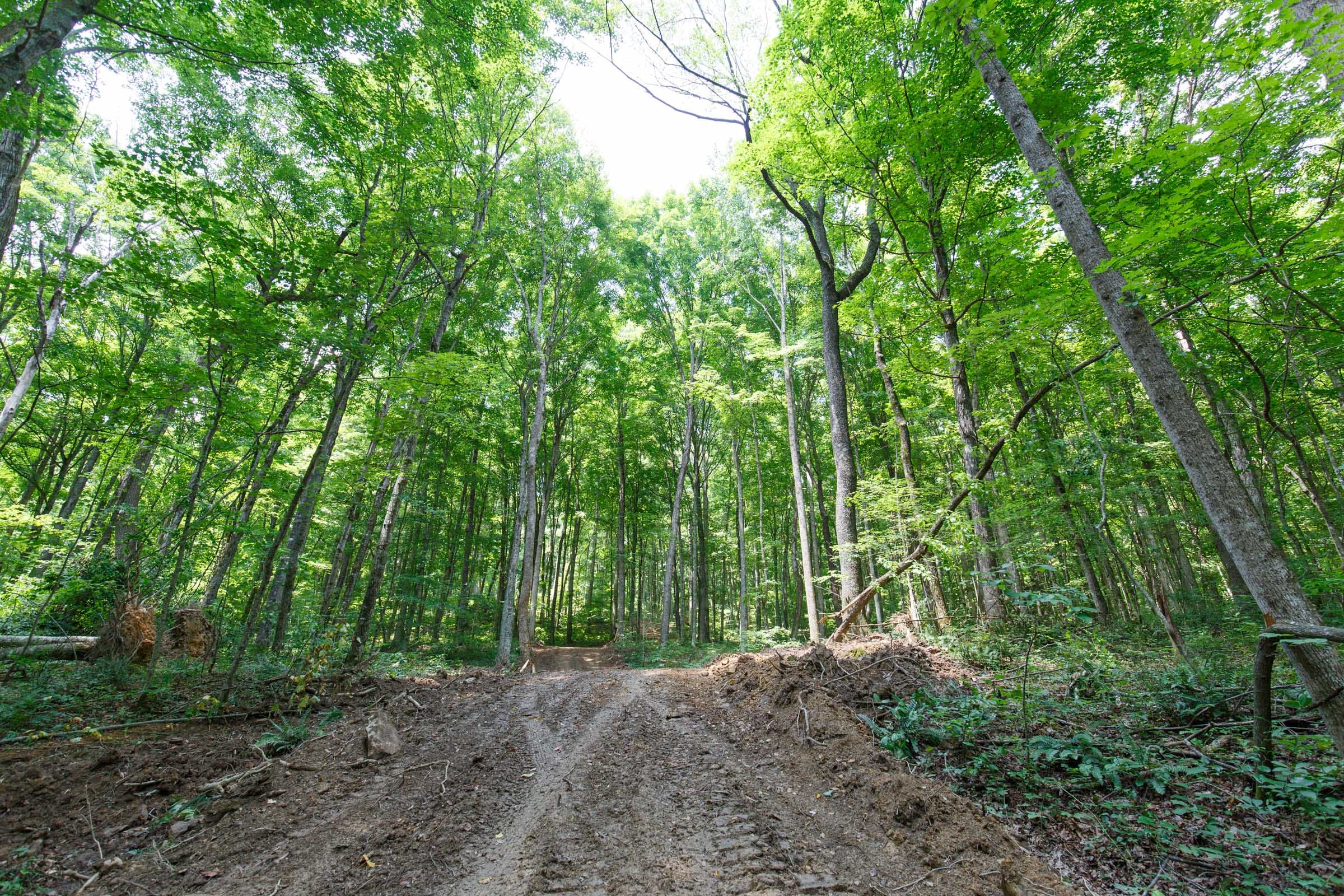 Rolling Hills Tract 9 photo 2