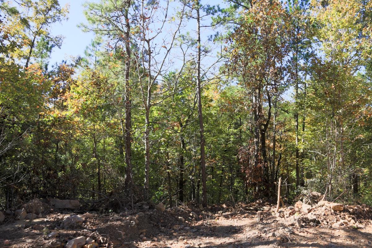 Stone Creek Phase I Tract 102 photo 3