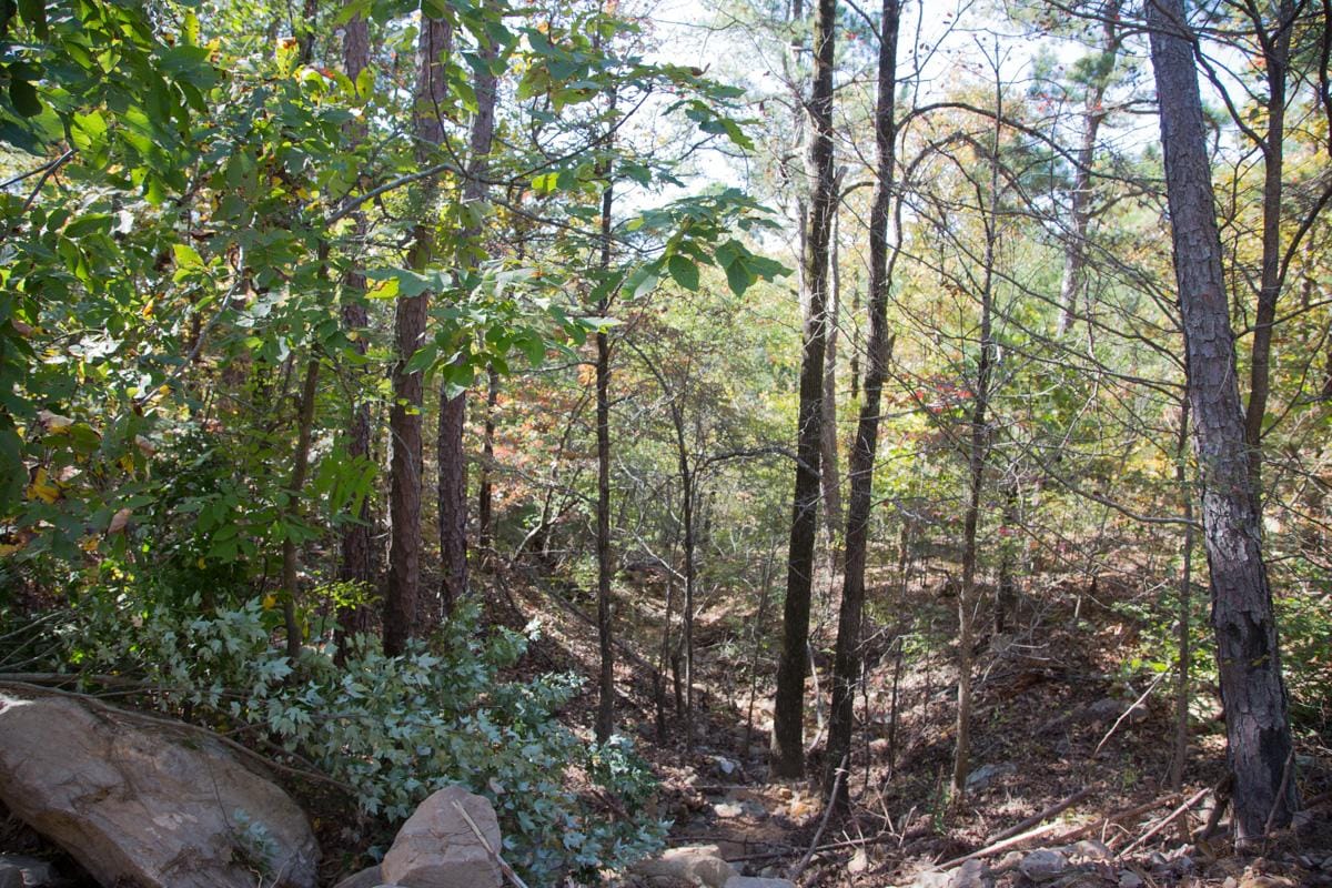 Stone Creek Phase I Tract 102 photo 6