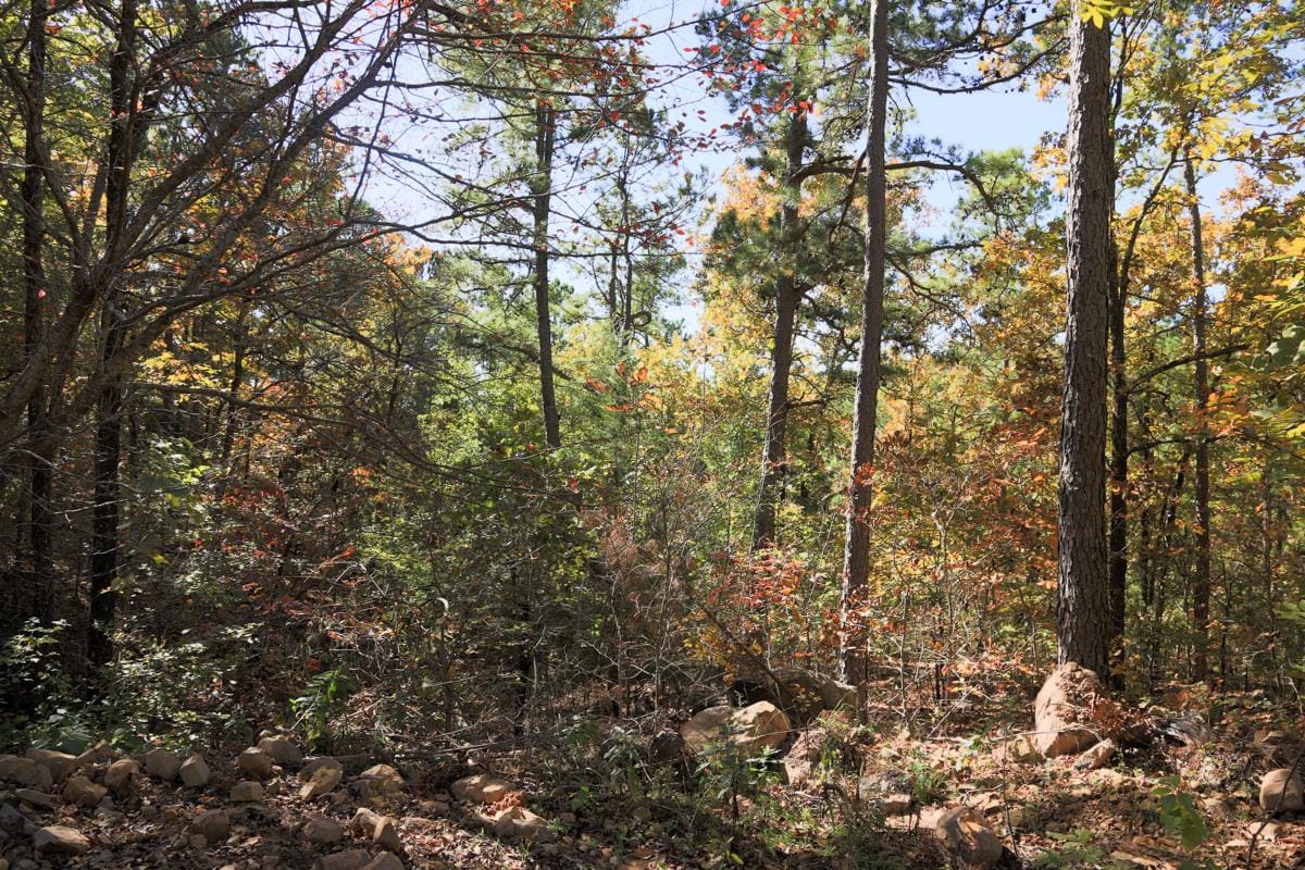 Stone Creek Phase I Tract 102 photo 9
