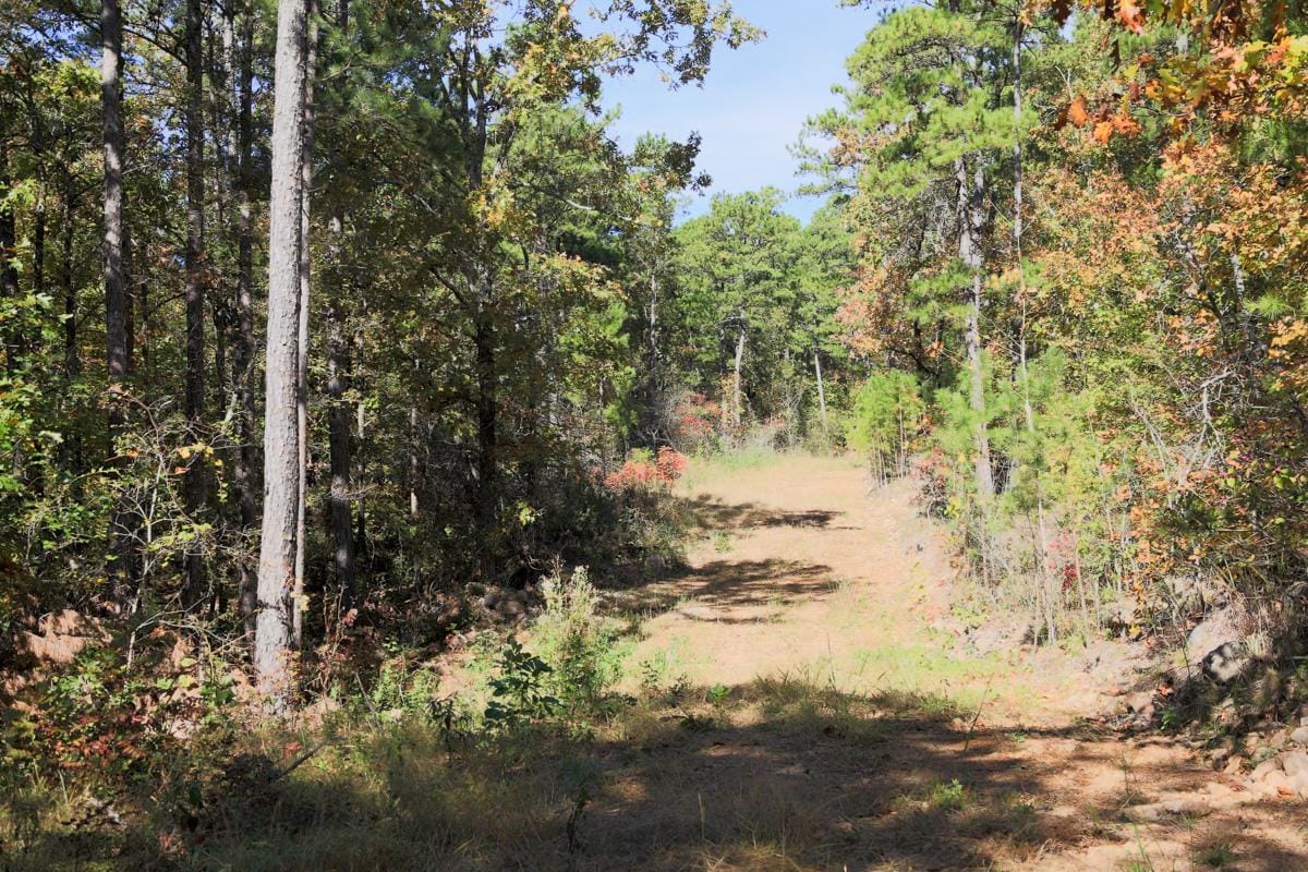 Stone Creek Phase I Tract 102 photo 10