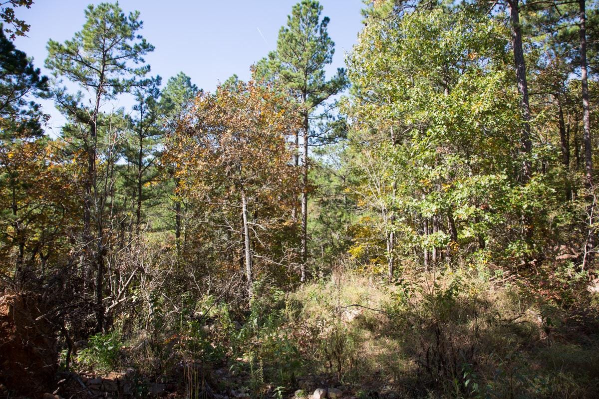 Stone Creek Phase I Tract 102 photo 11