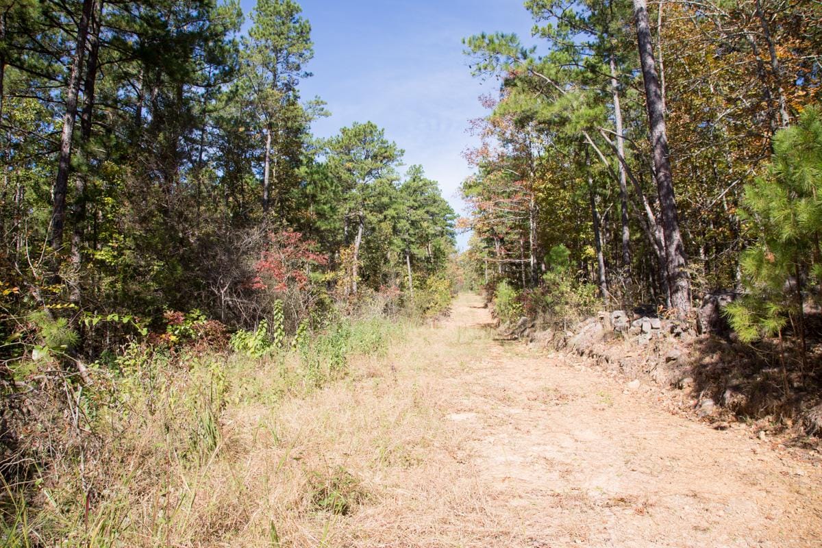 Stone Creek Phase I Tract 102 photo 12