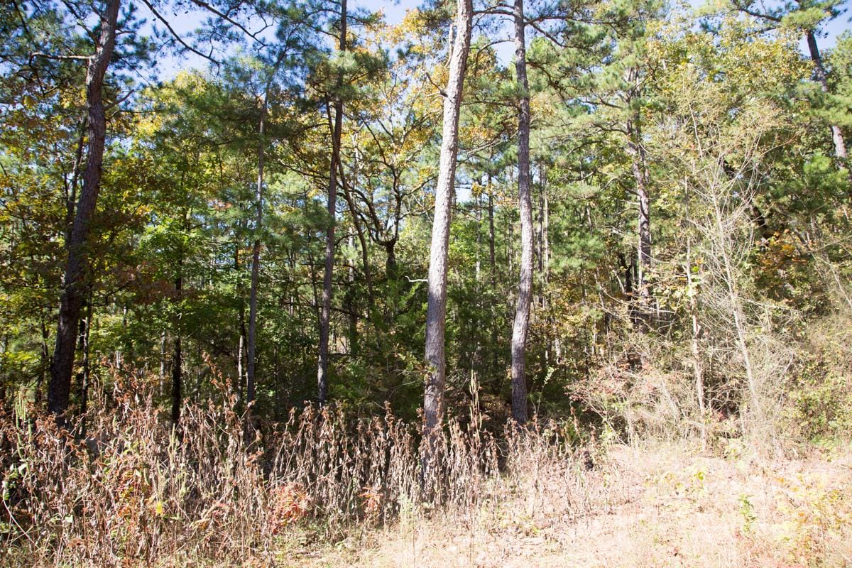 Stone Creek Phase I Tract 102 photo 14