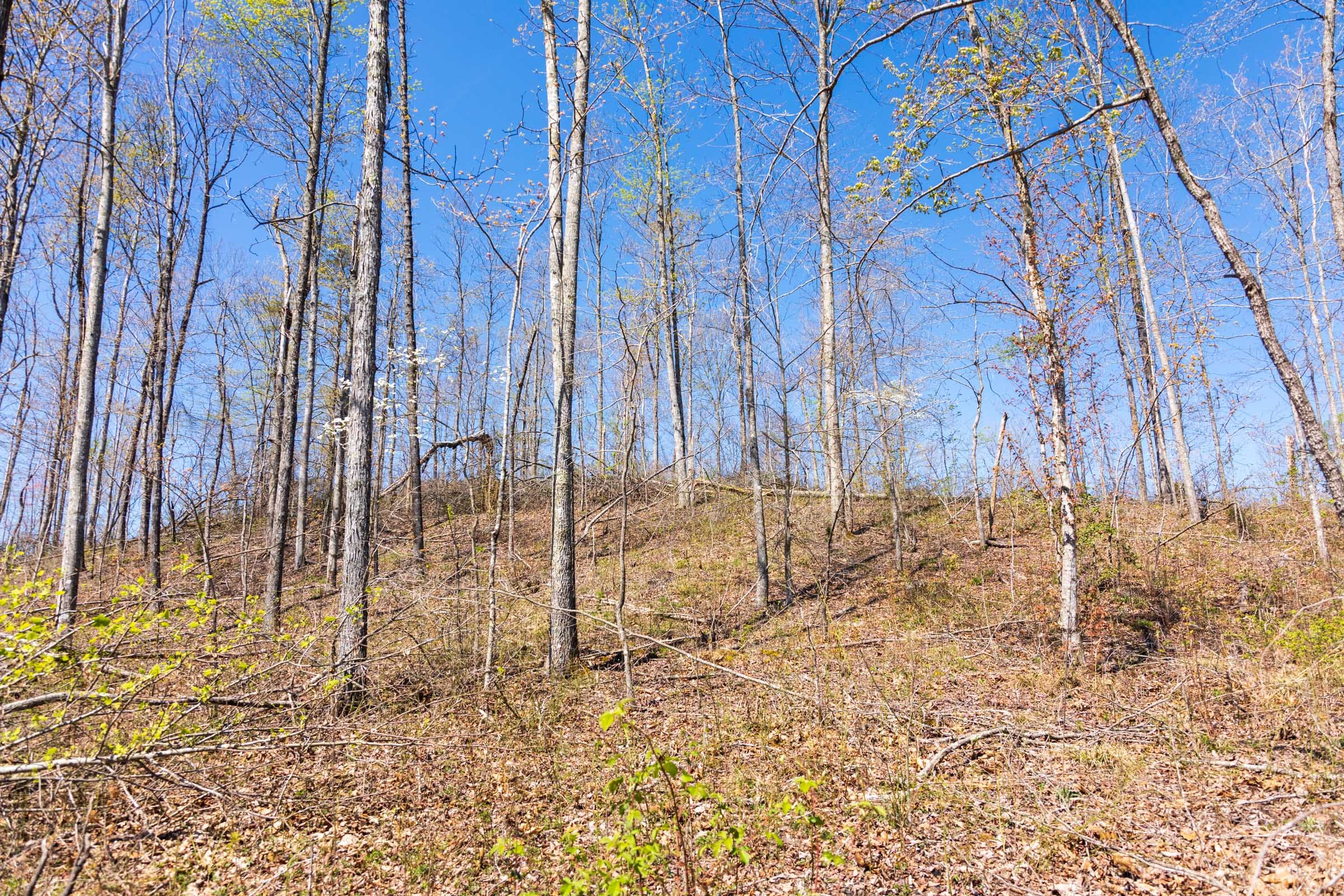 Creek Hollow Phase I Tract 49 photo 2
