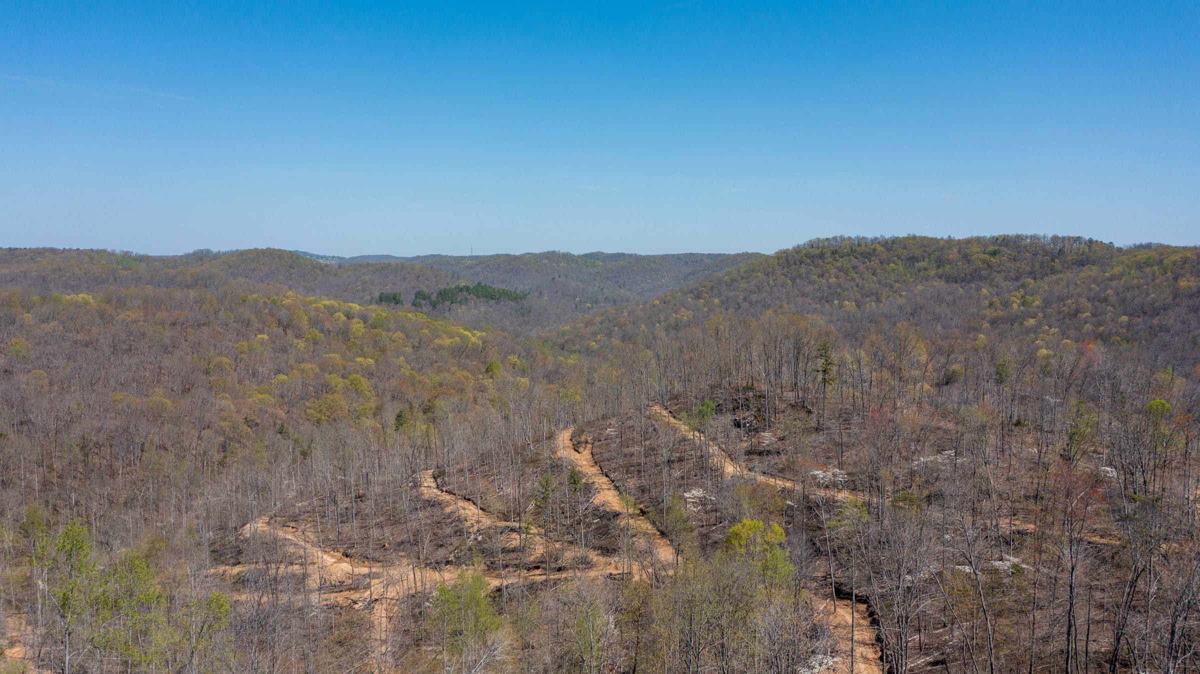 Creek Hollow Phase I Tract 49 photo 7