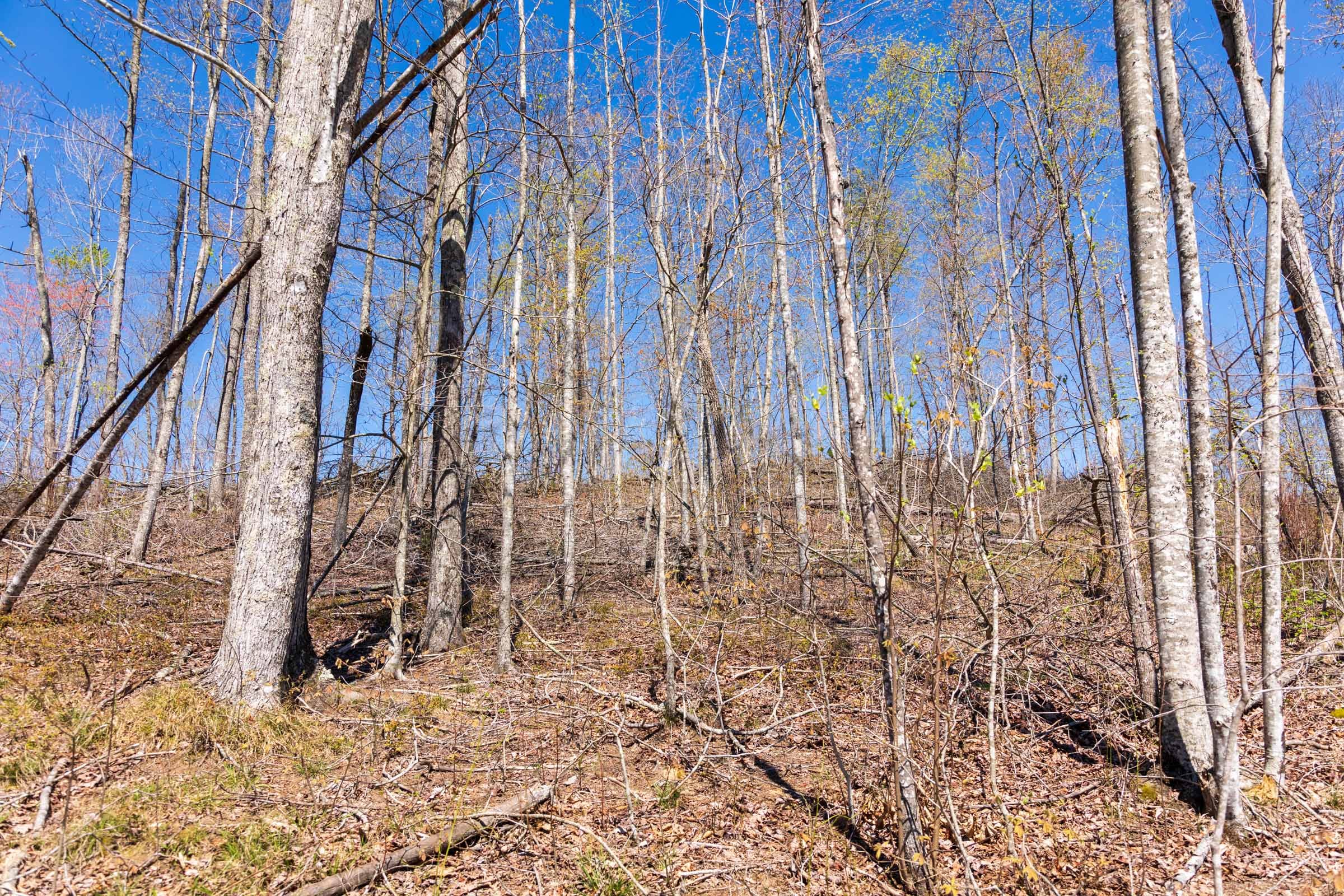 Creek Hollow Phase I Tract 49 photo 6