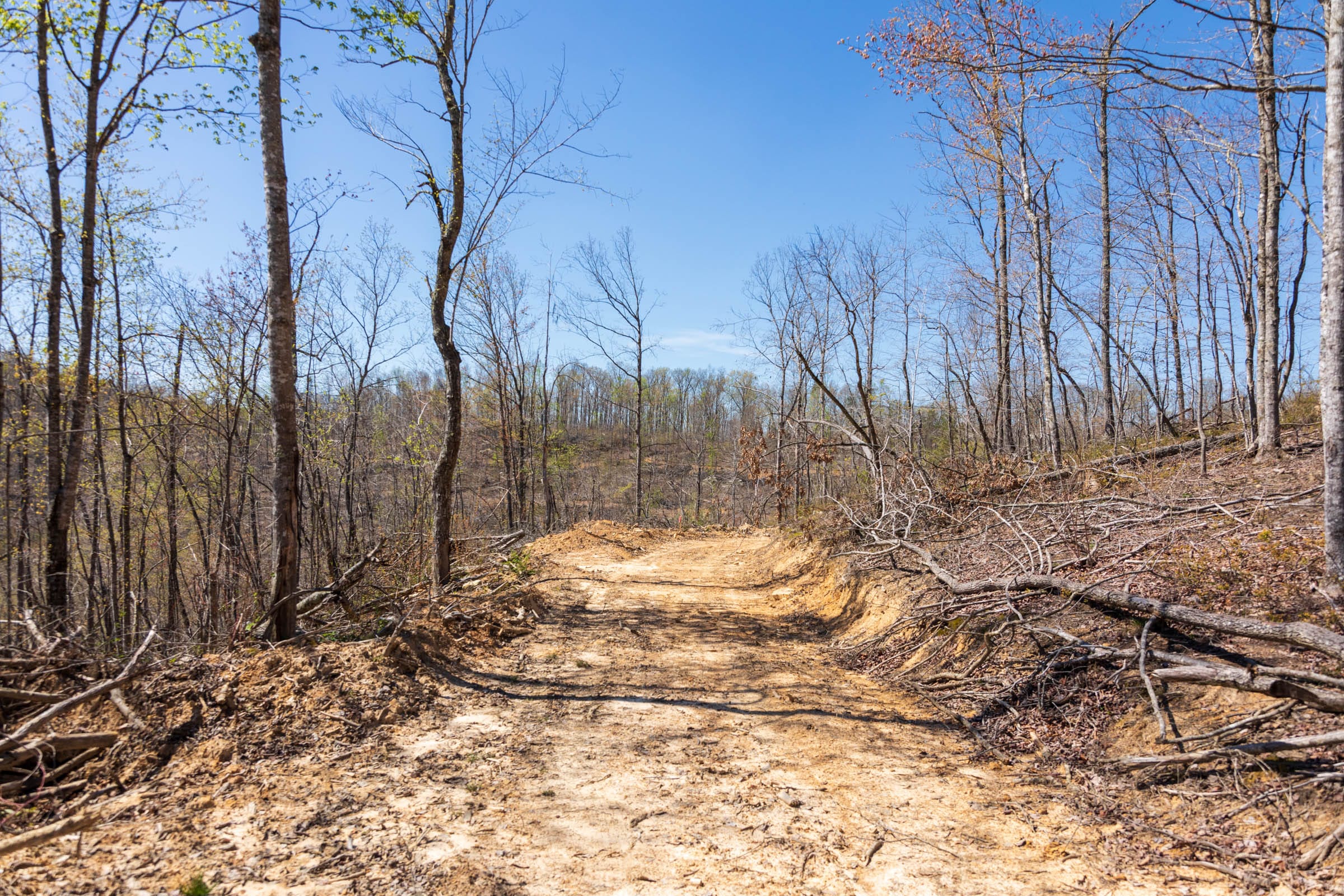 Creek Hollow Phase I Tract 49 photo 3