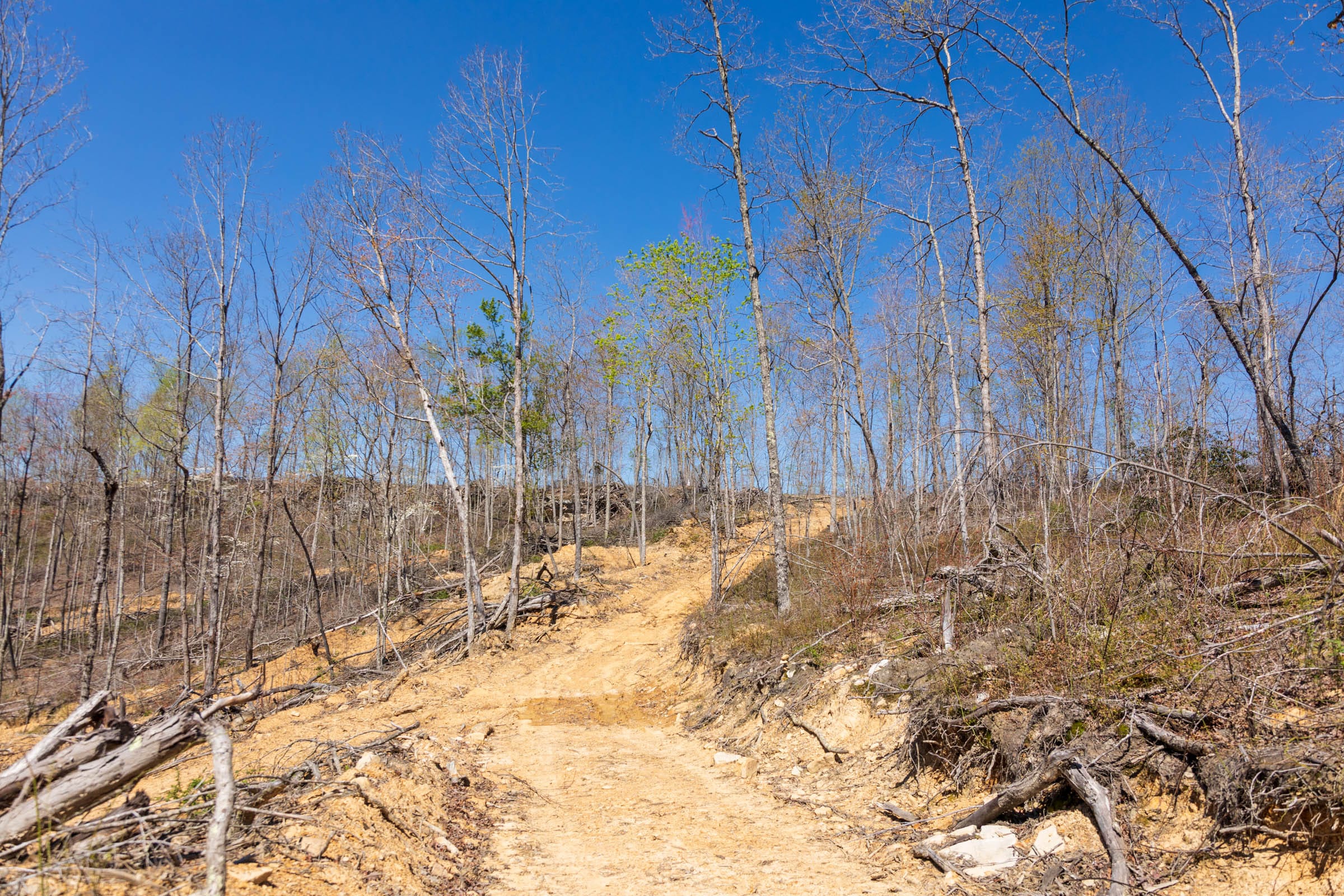 Creek Hollow Phase I Tract 49 photo 5