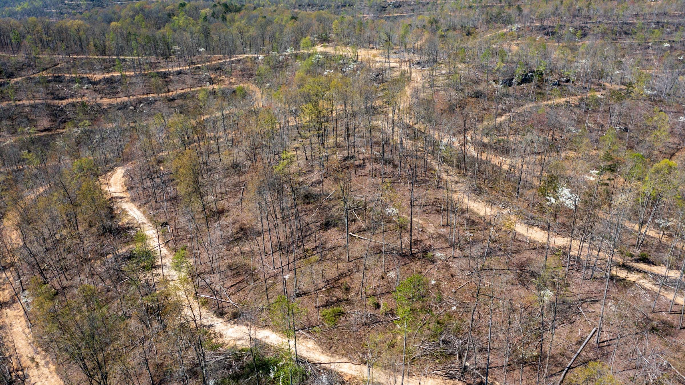 Creek Hollow Phase I Tract 49 photo 8