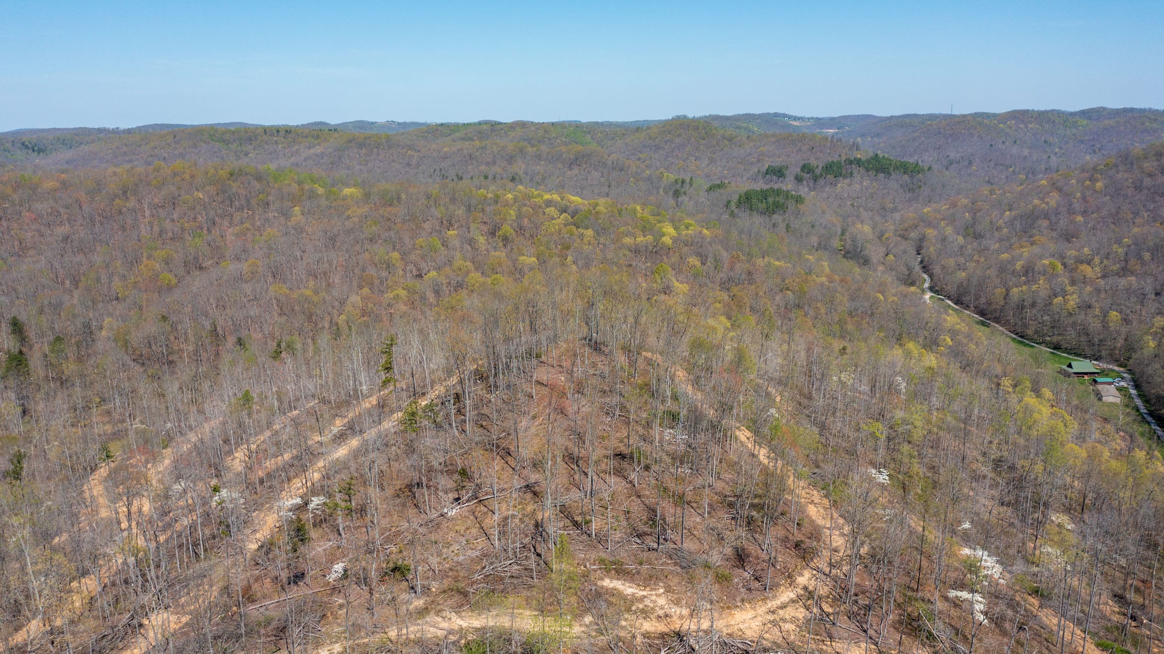 Creek Hollow Phase I Tract 49 photo 9