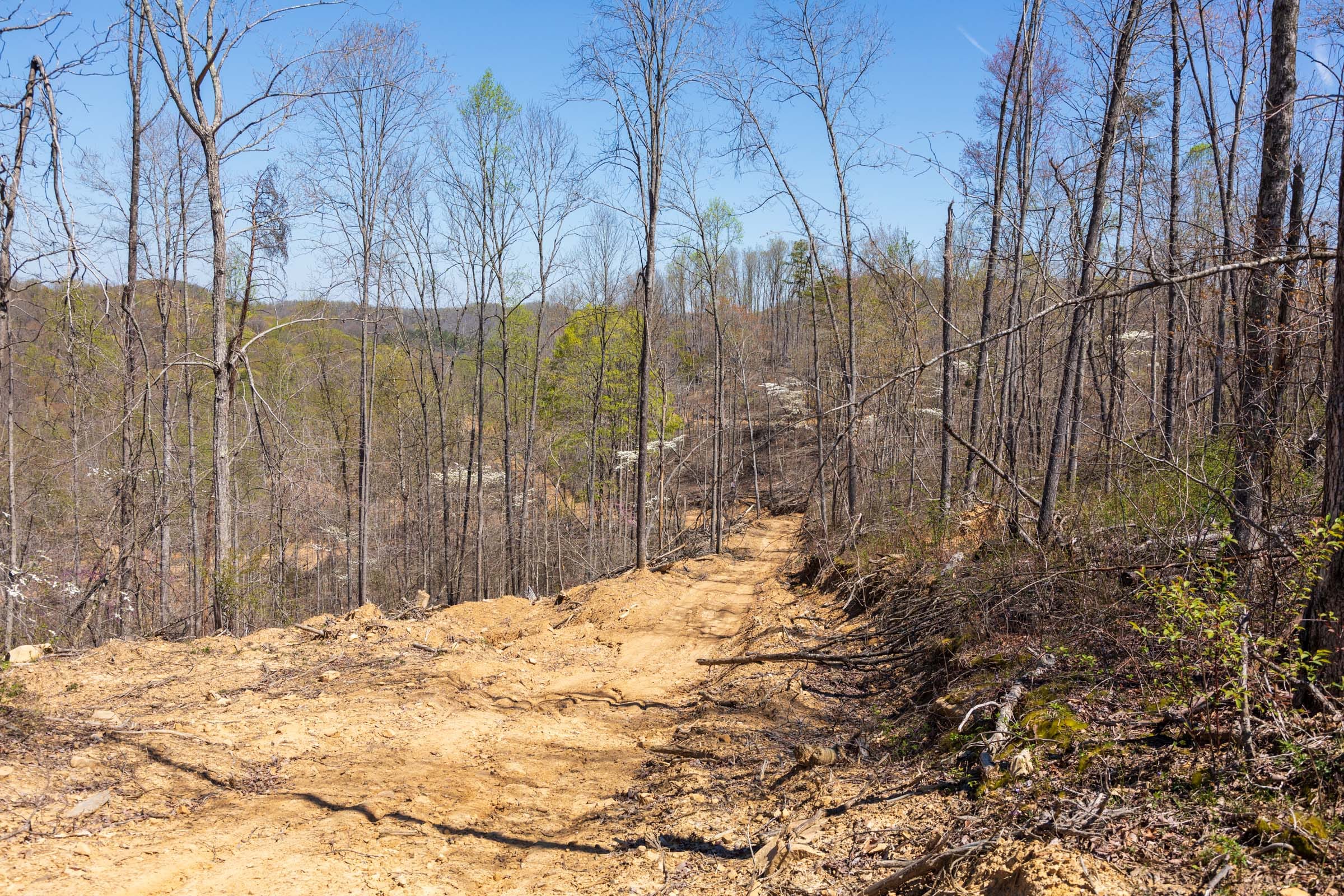 Creek Hollow Phase I Tract 49 photo 1