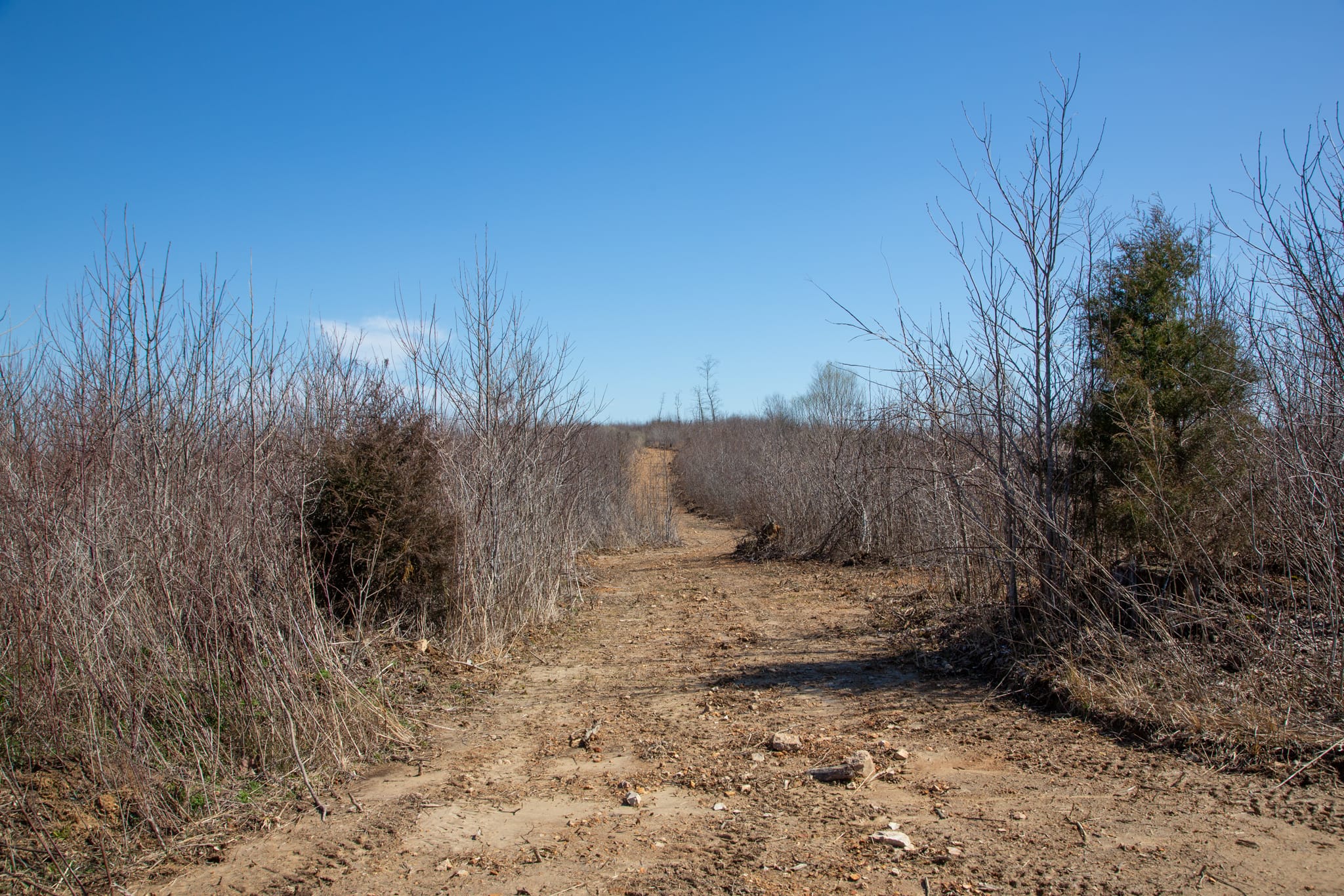 Southwind Ranch Tract 3 photo 2