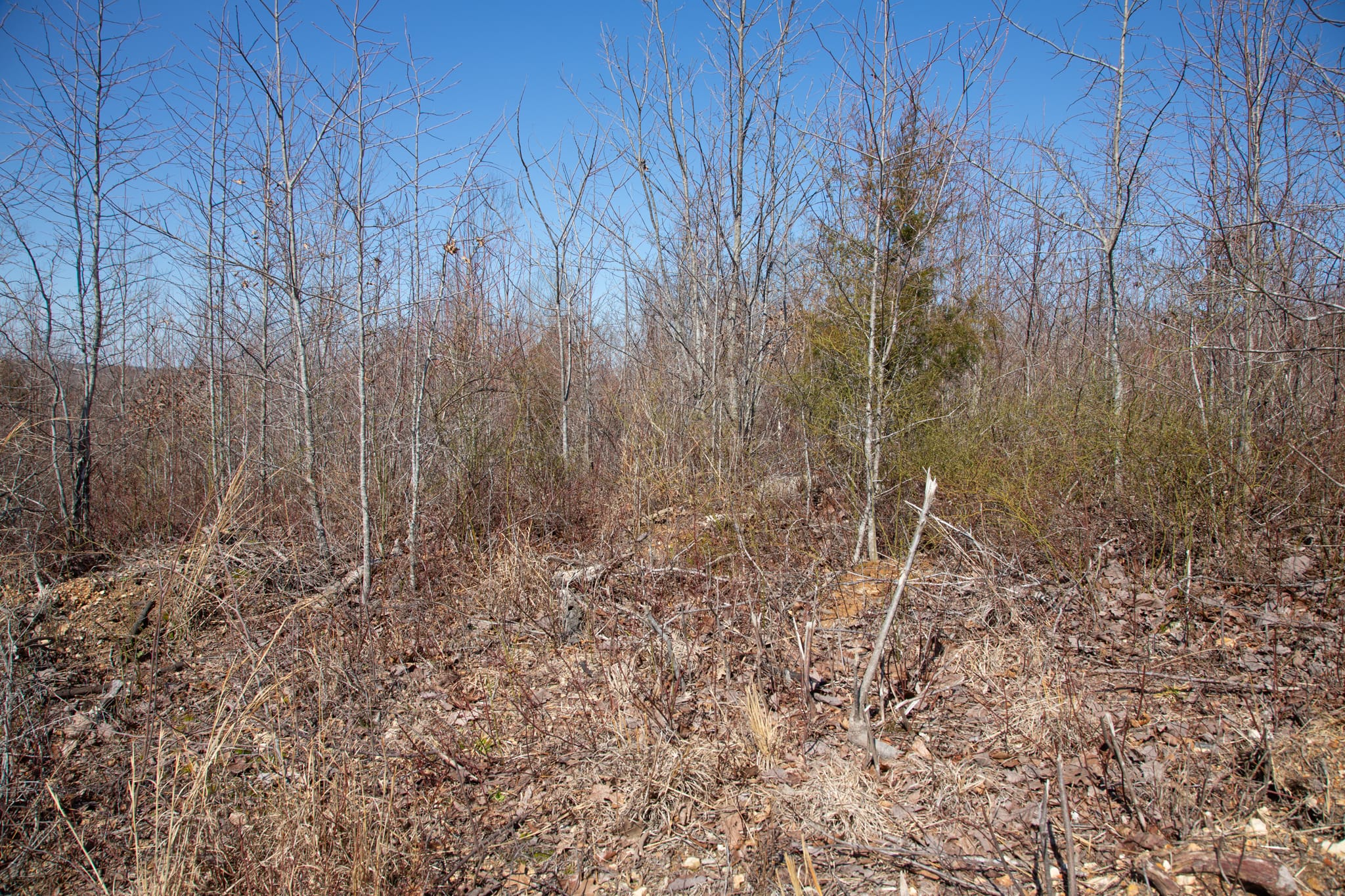 Southwind Ranch Tract 3 photo 9