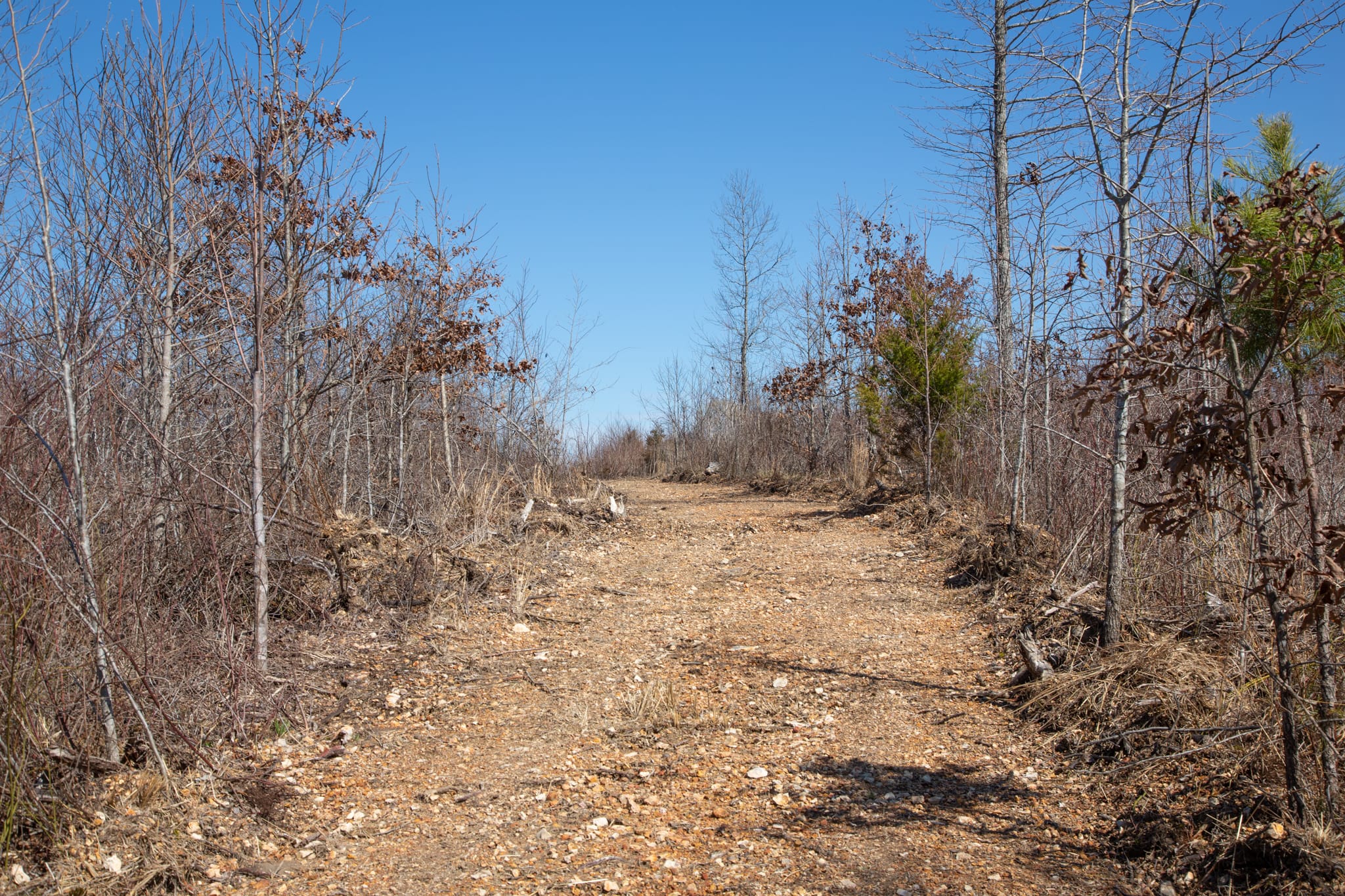 Southwind Ranch Tract 3 photo 10