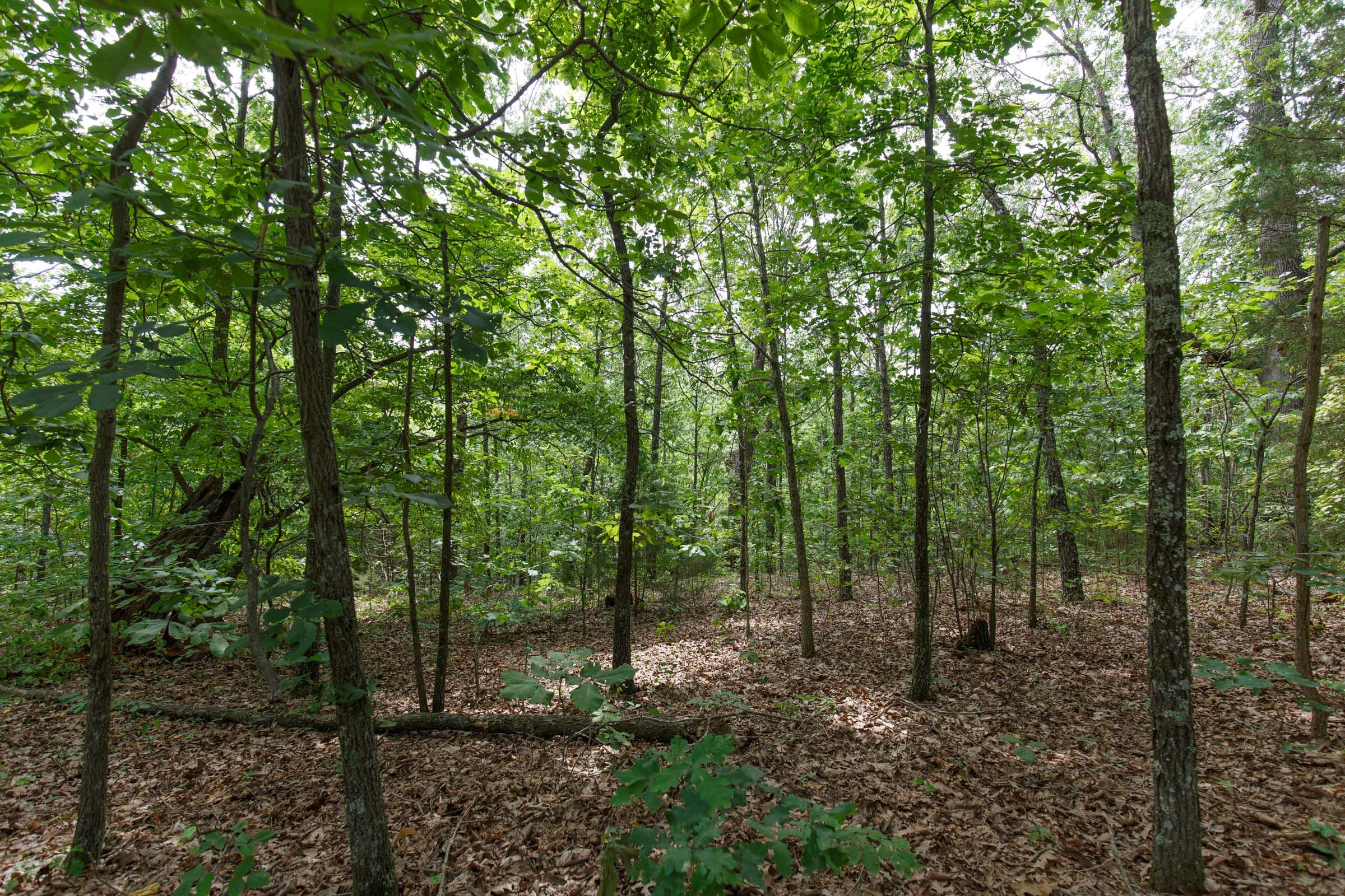 Spring Lake Plat 5 Tract 344 photo 1